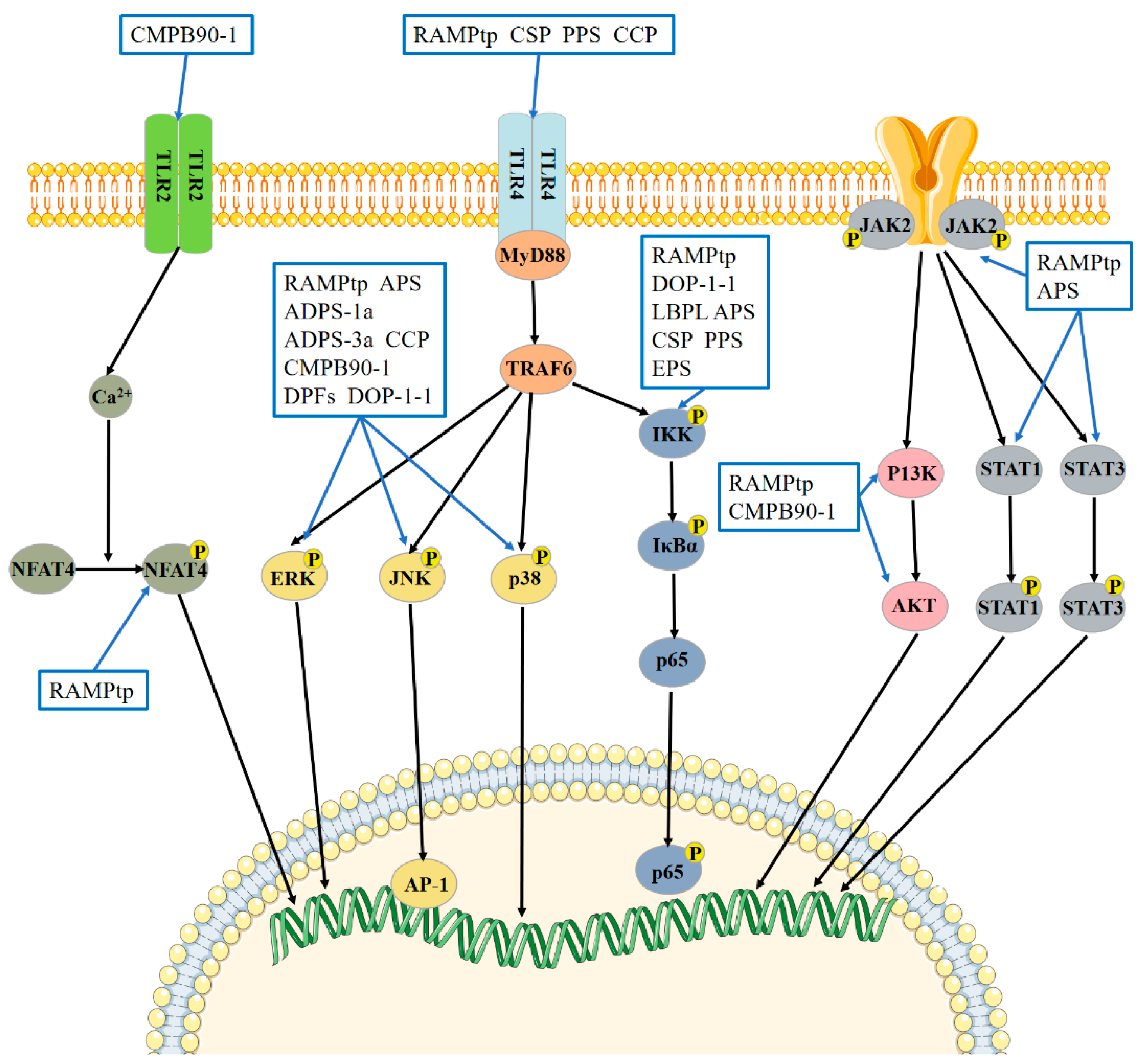 Molecules 28 07355 g003