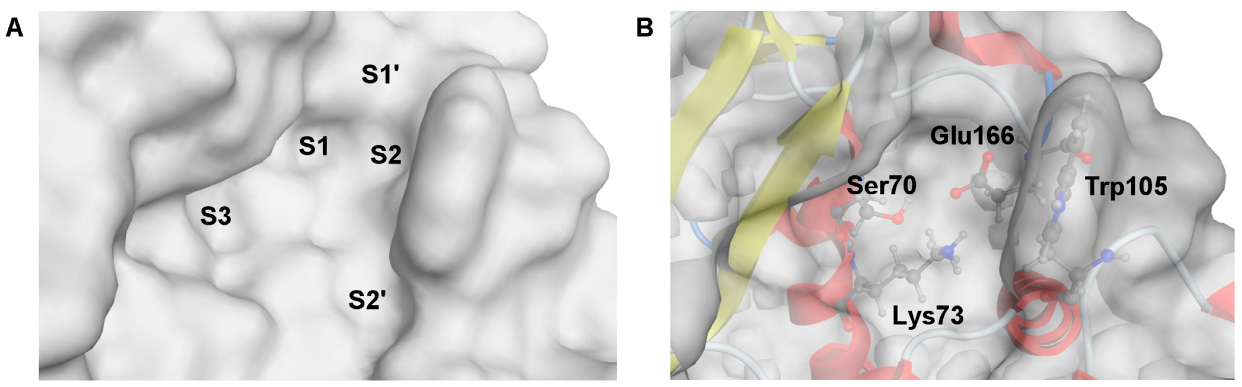 Molecules 28 07362 g003