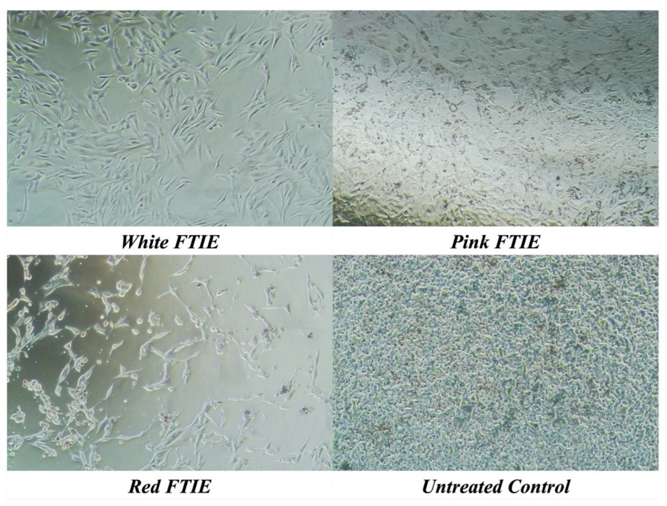 Molecules 28 07370 g004