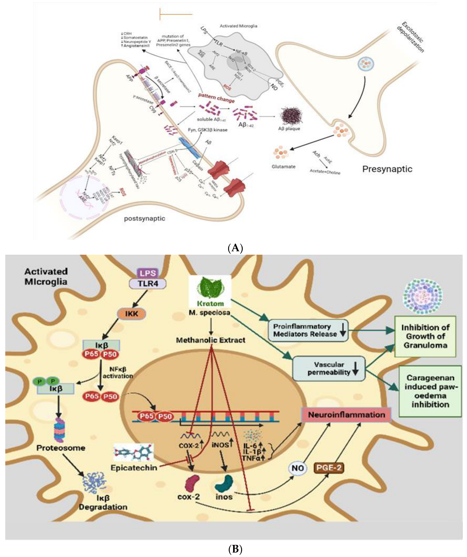 Molecules 28 07372 g004