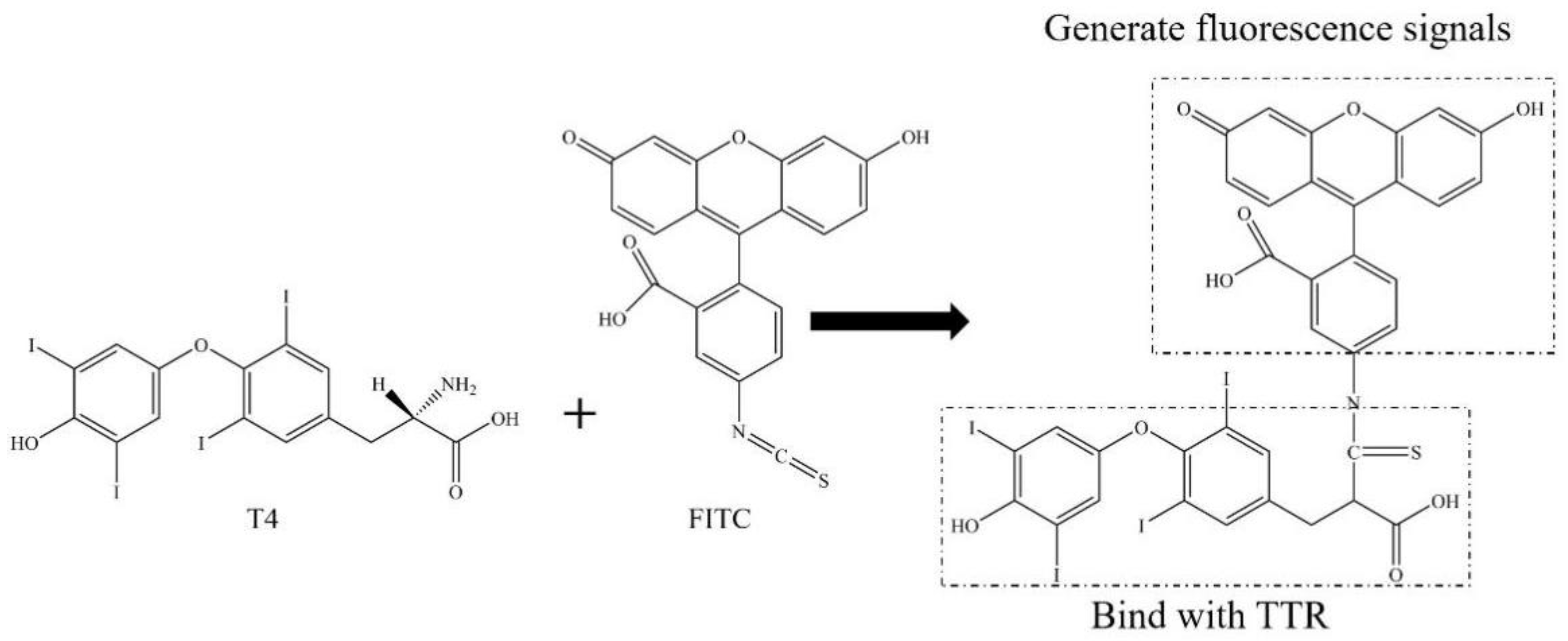 Molecules 28 07374 g002