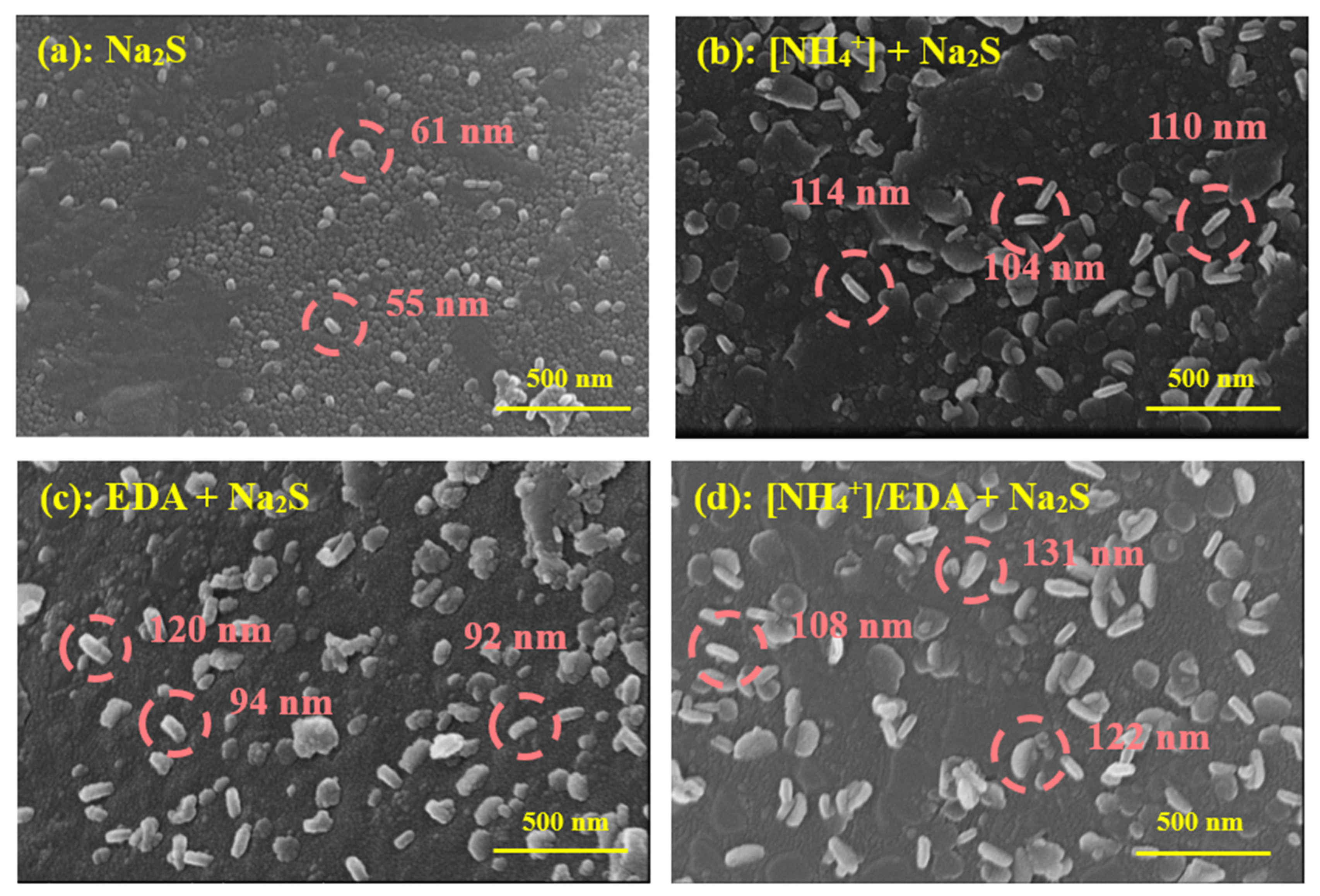 Molecules 28 07376 g005