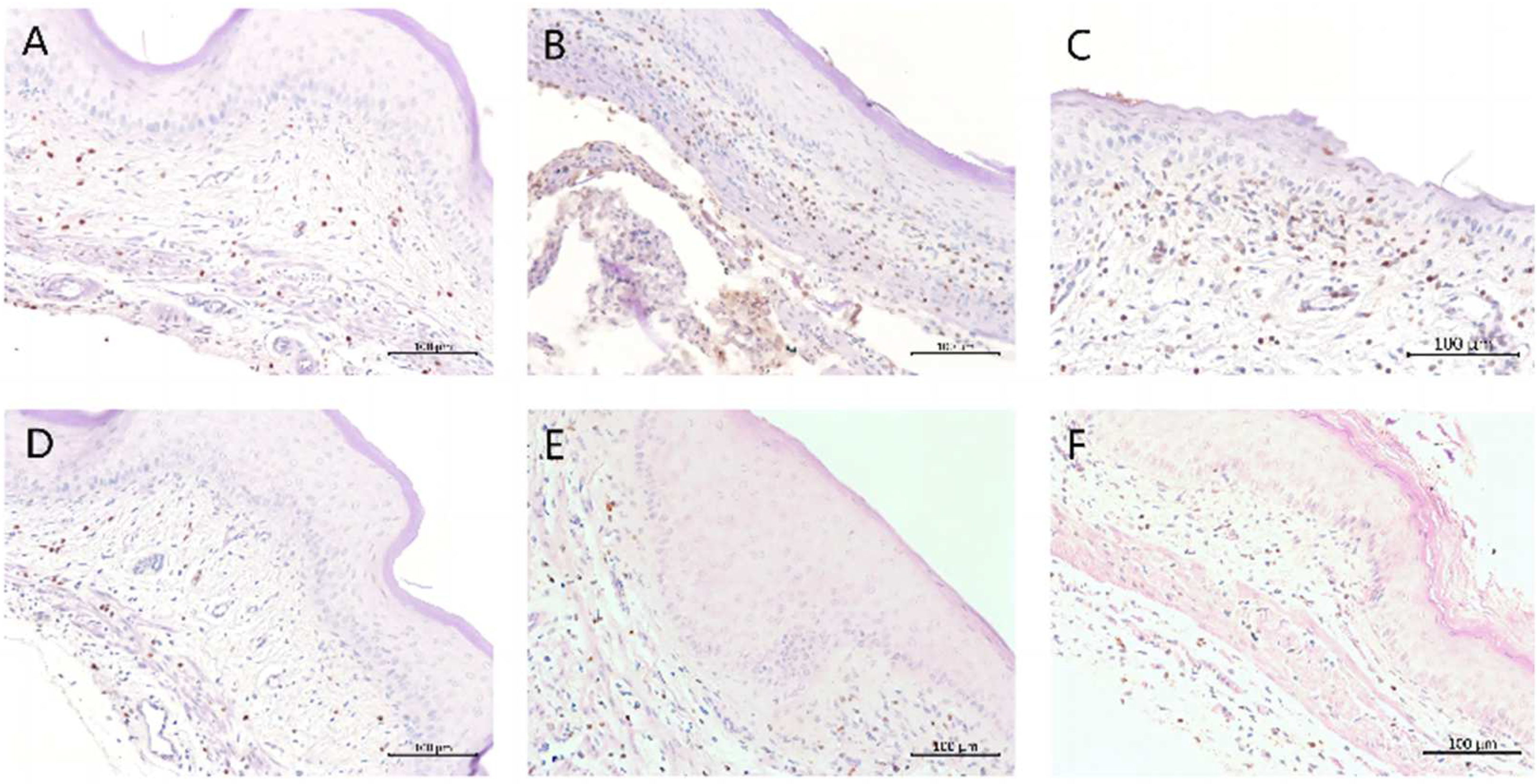 Molecules 28 07377 g004