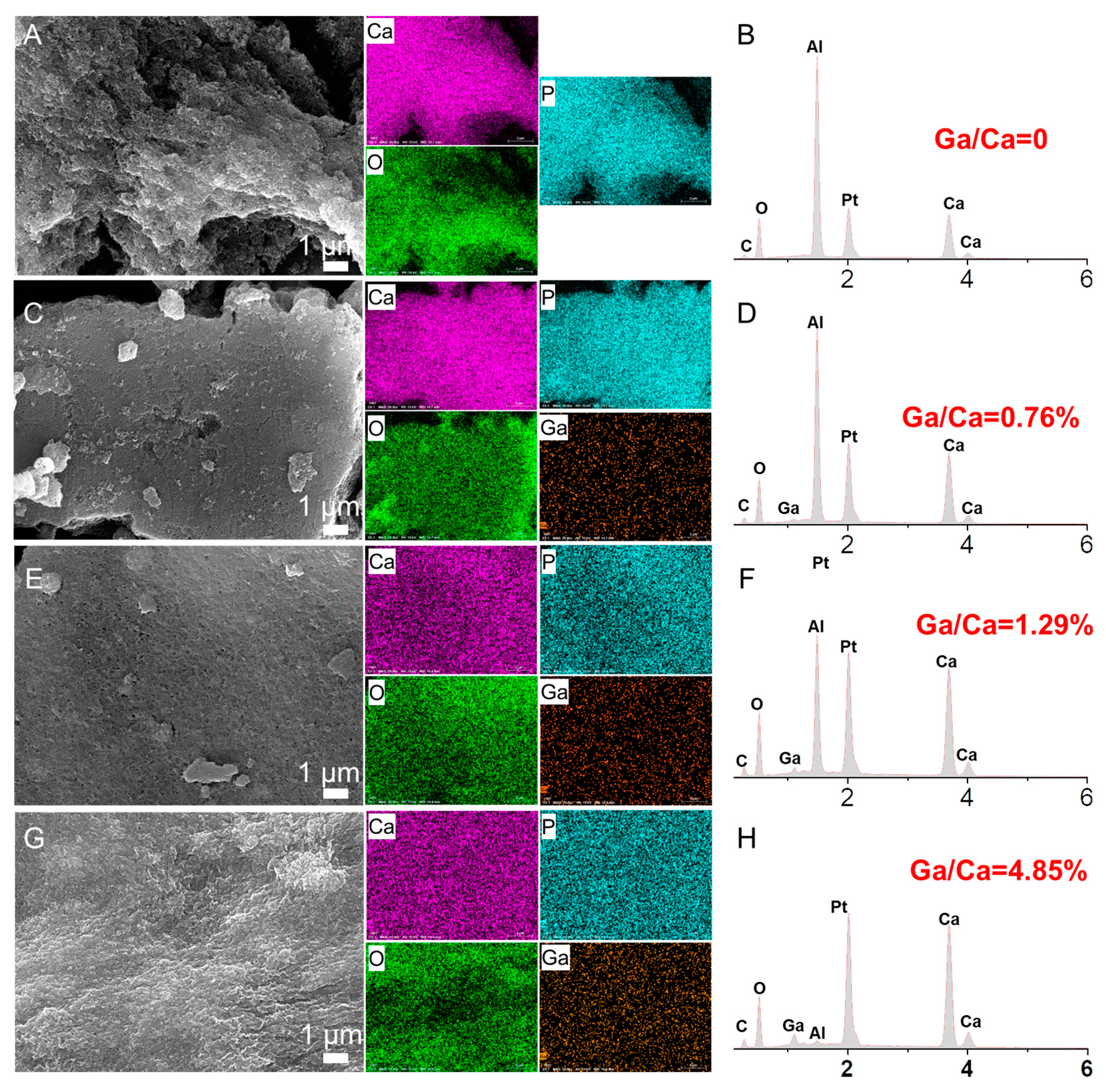 Molecules 28 07379 g001