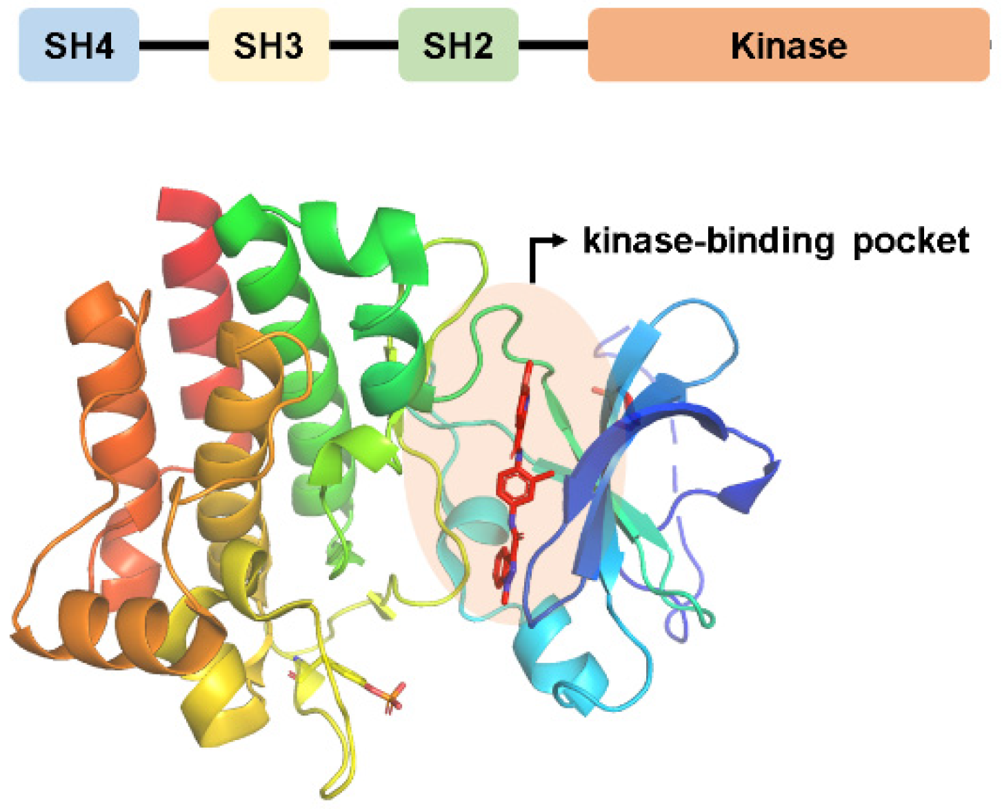 Molecules 28 07382 g001