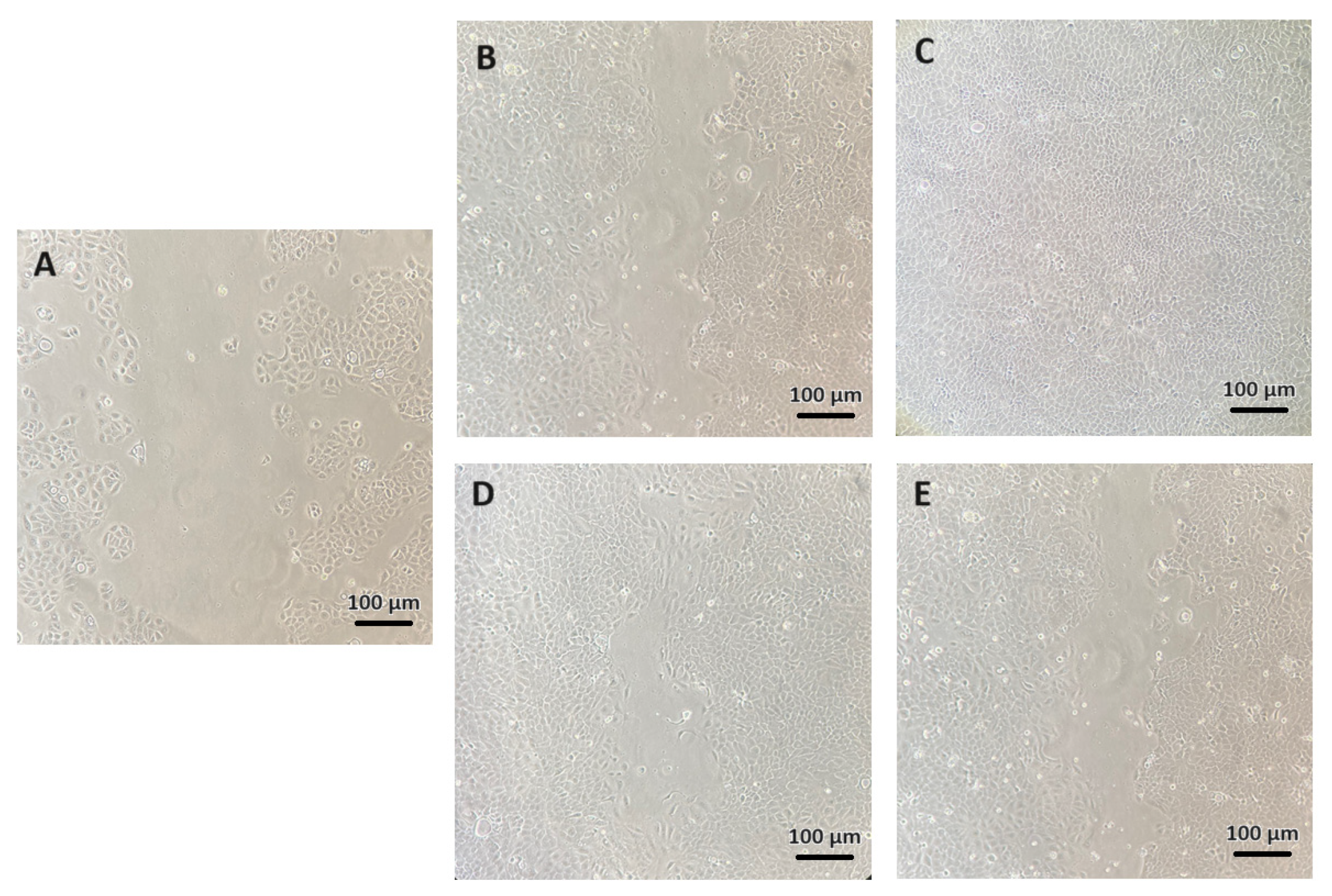 Molecules 28 07384 g010