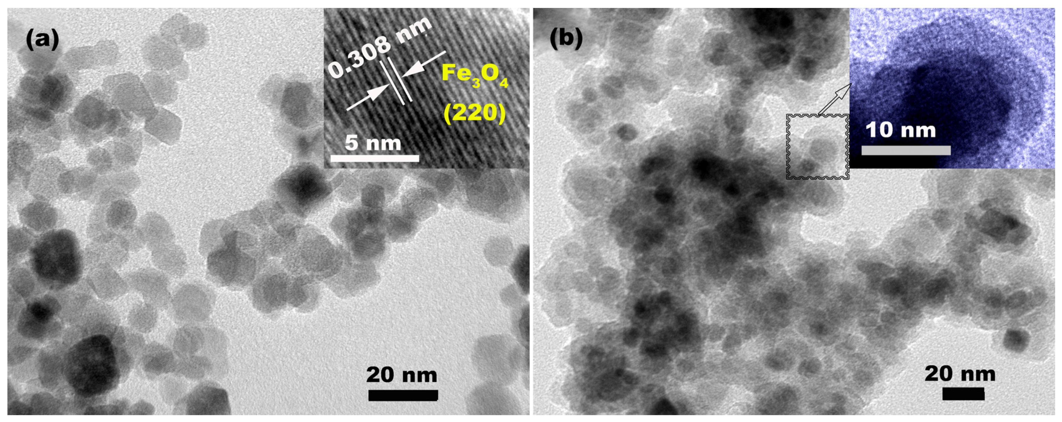 Molecules 28 07385 g003
