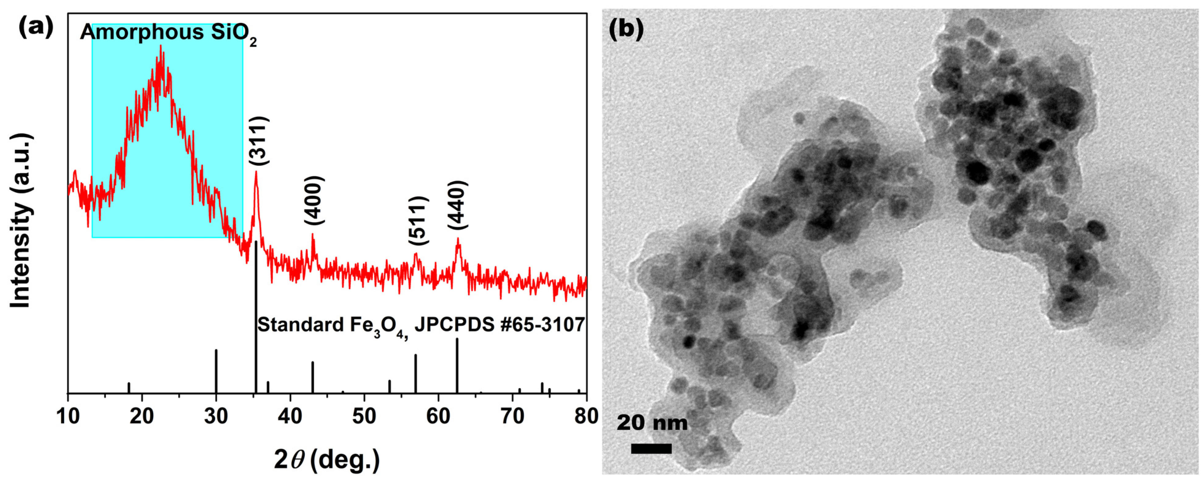 Molecules 28 07385 g004