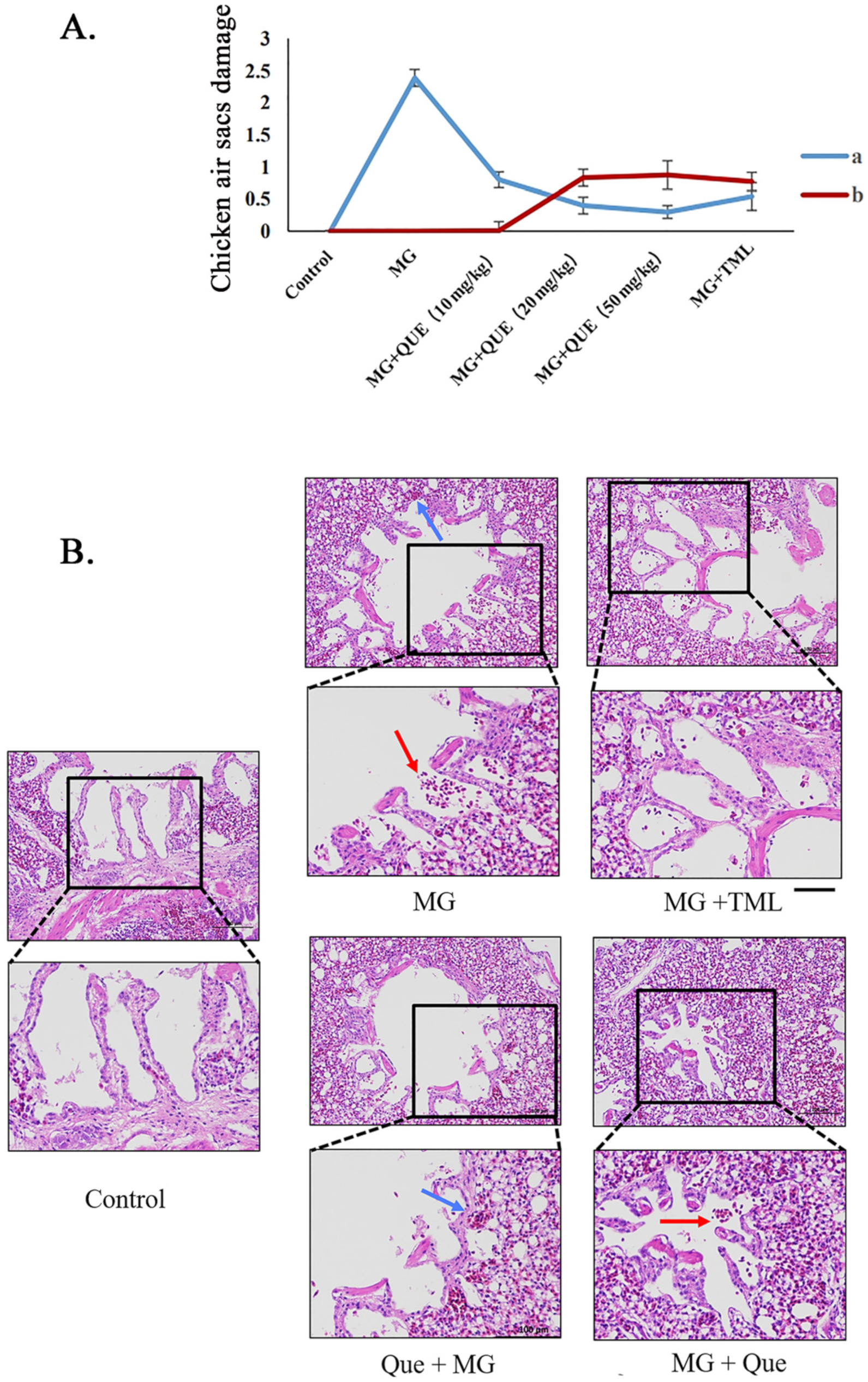 Molecules 28 07388 g005
