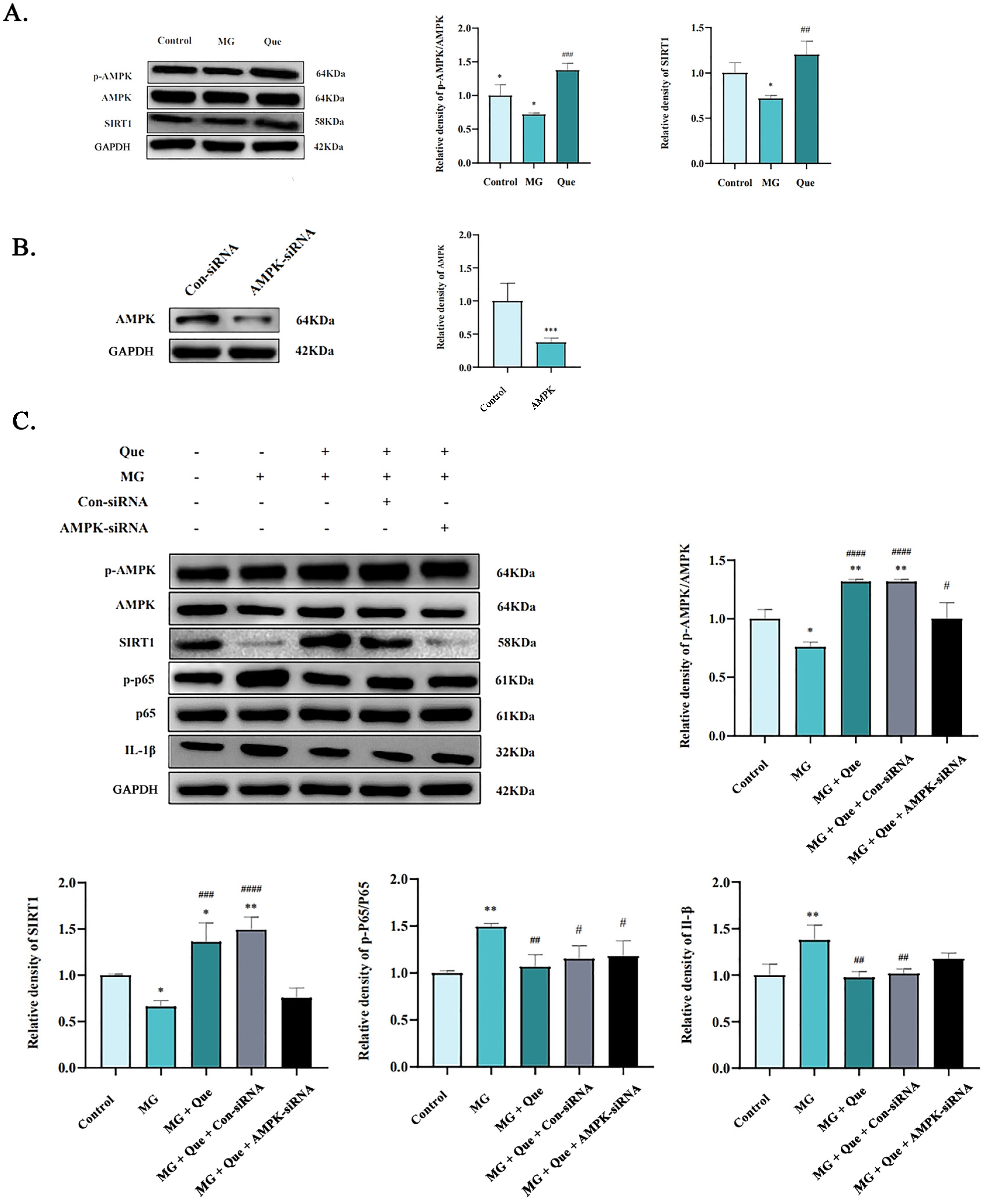 Molecules 28 07388 g007