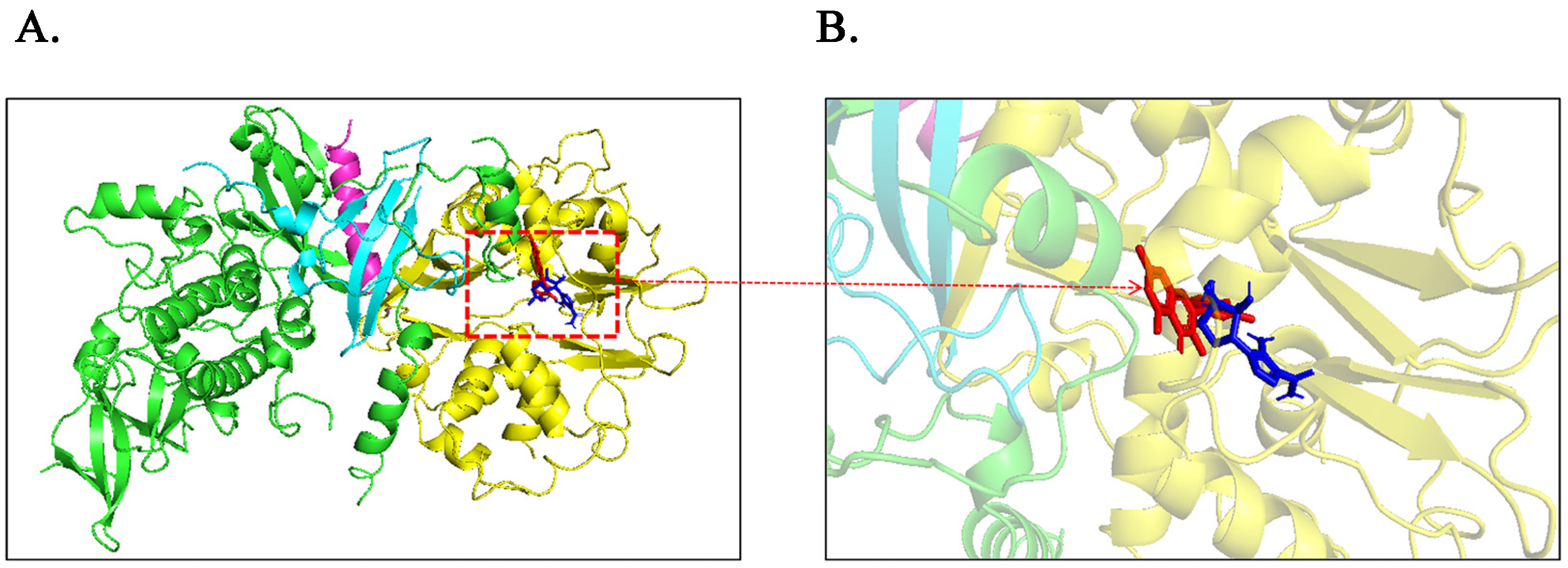 Molecules 28 07388 g008