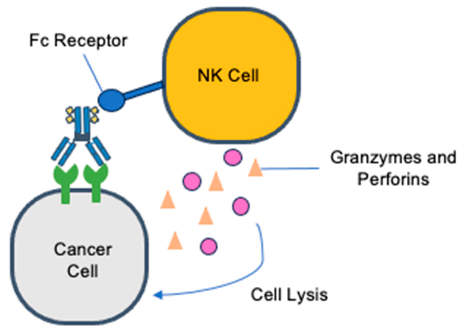 Molecules 28 07389 g003