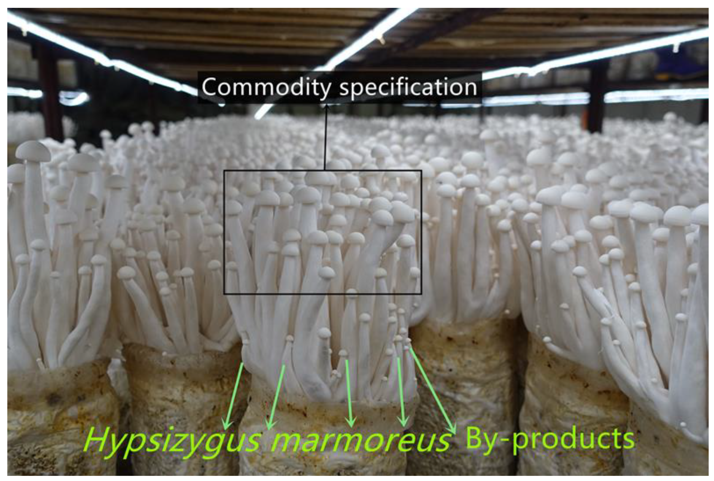 Molecules 28 07394 g001