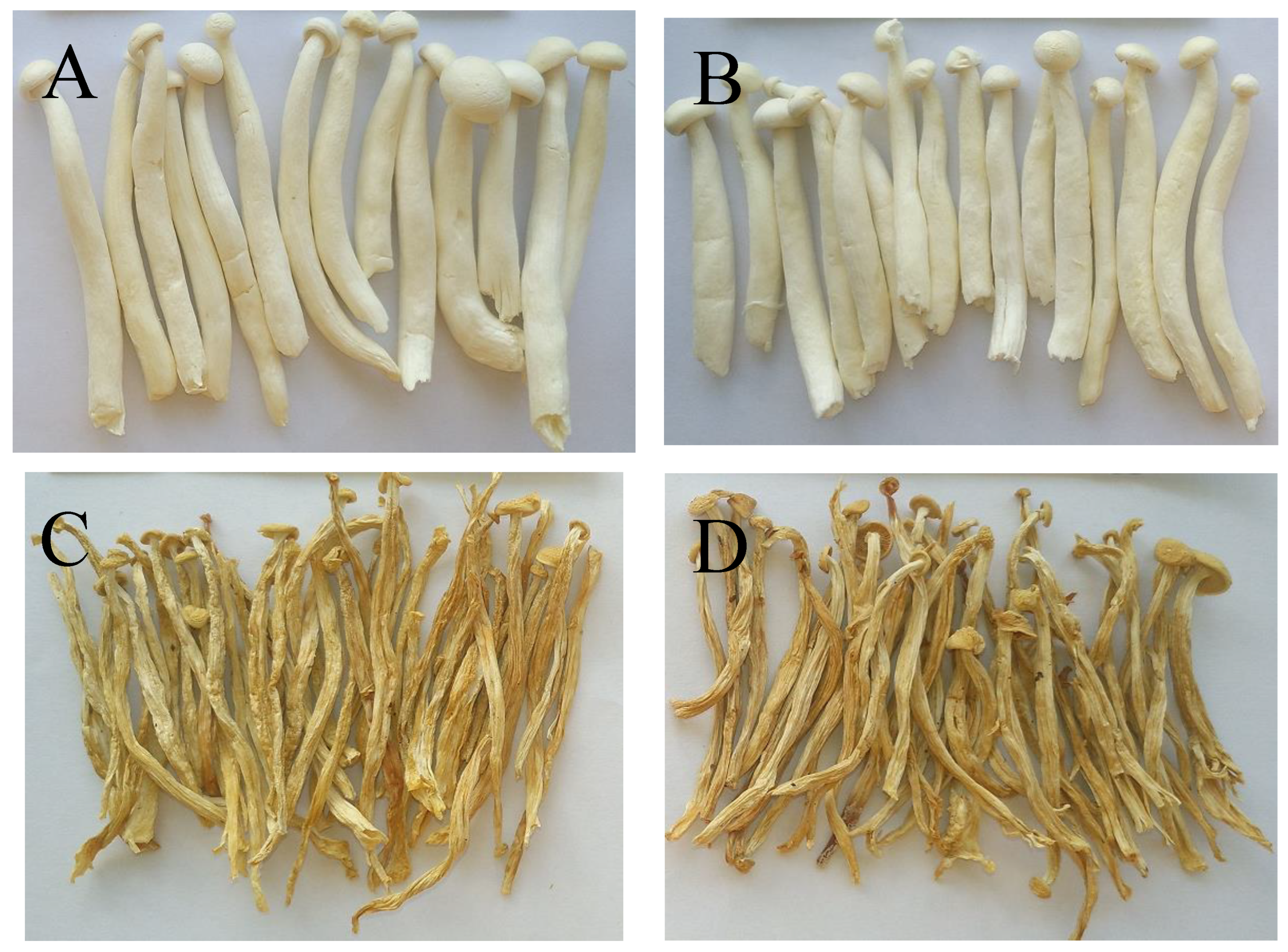 Molecules 28 07394 g003