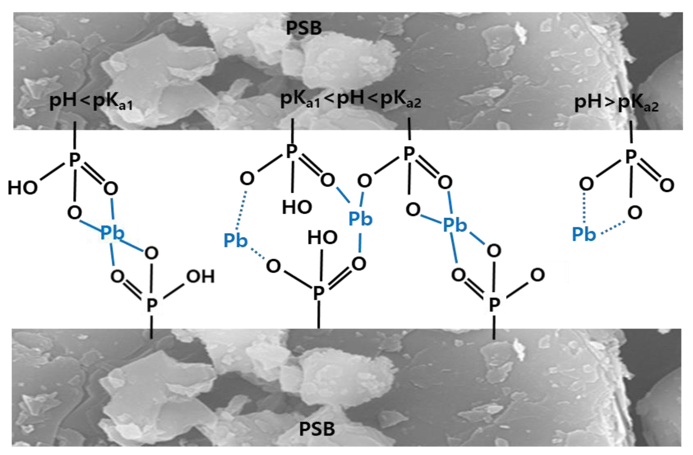 Molecules 28 07395 g007