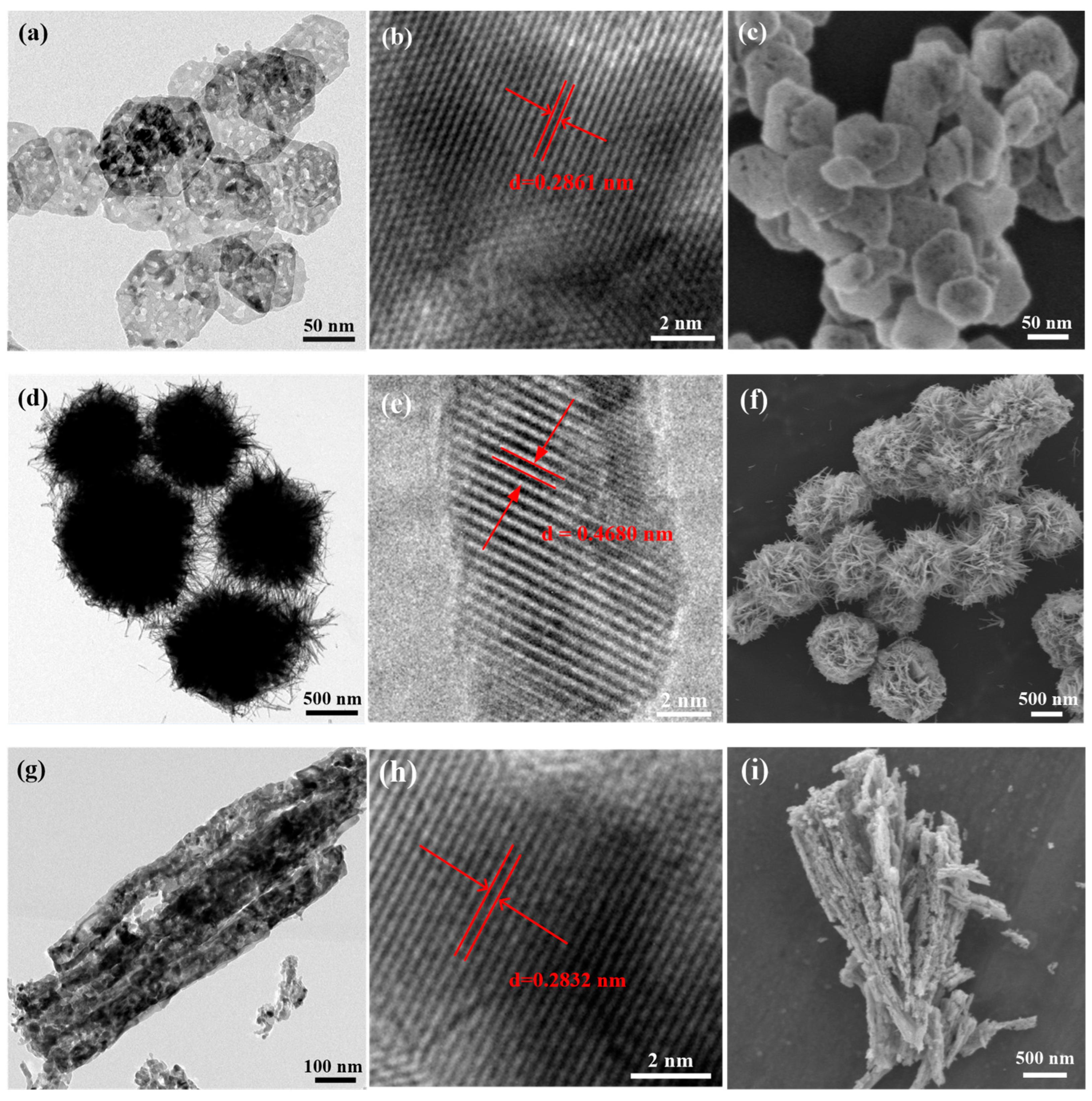 Molecules 28 07396 g002a