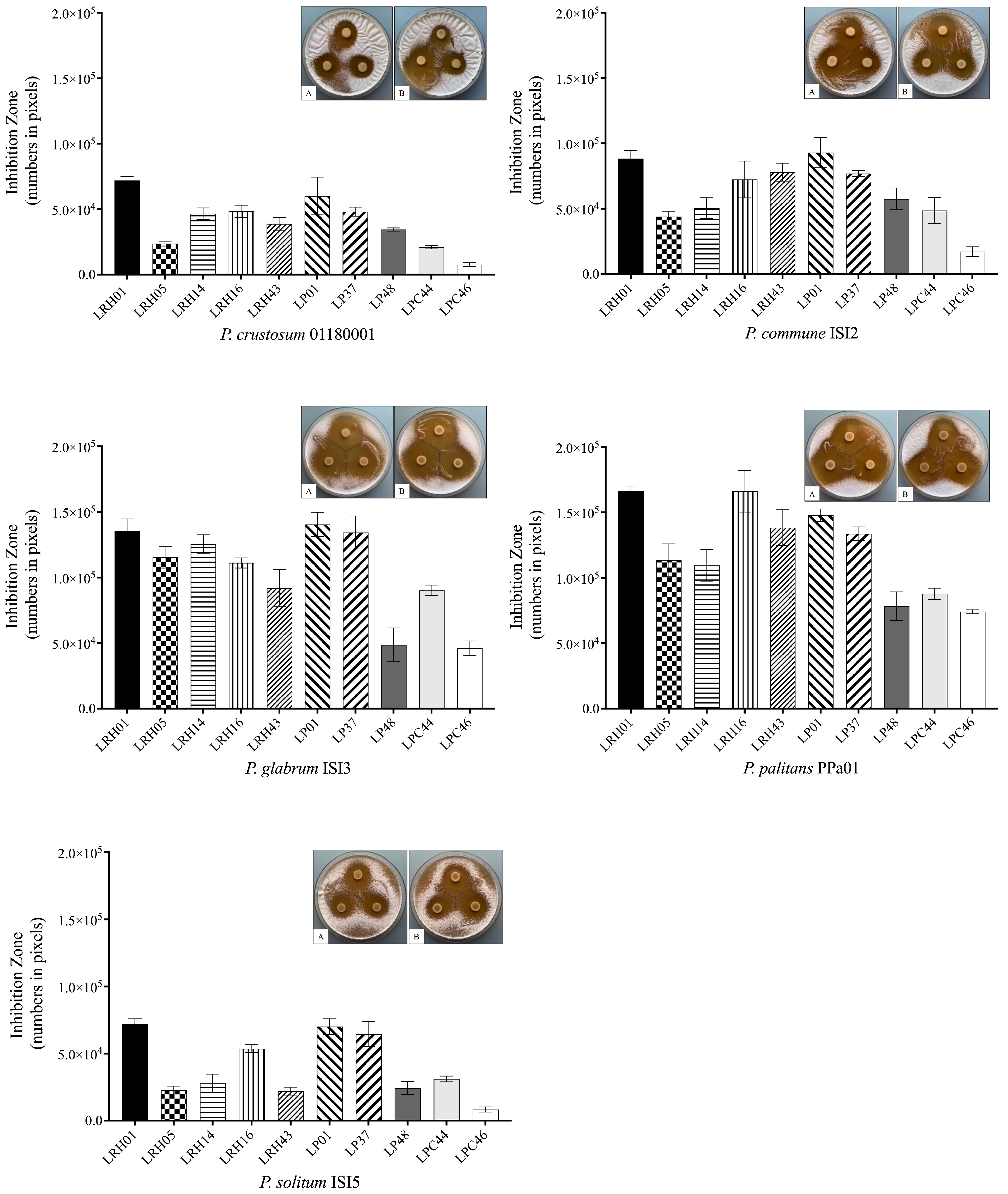Molecules 28 07397 g001