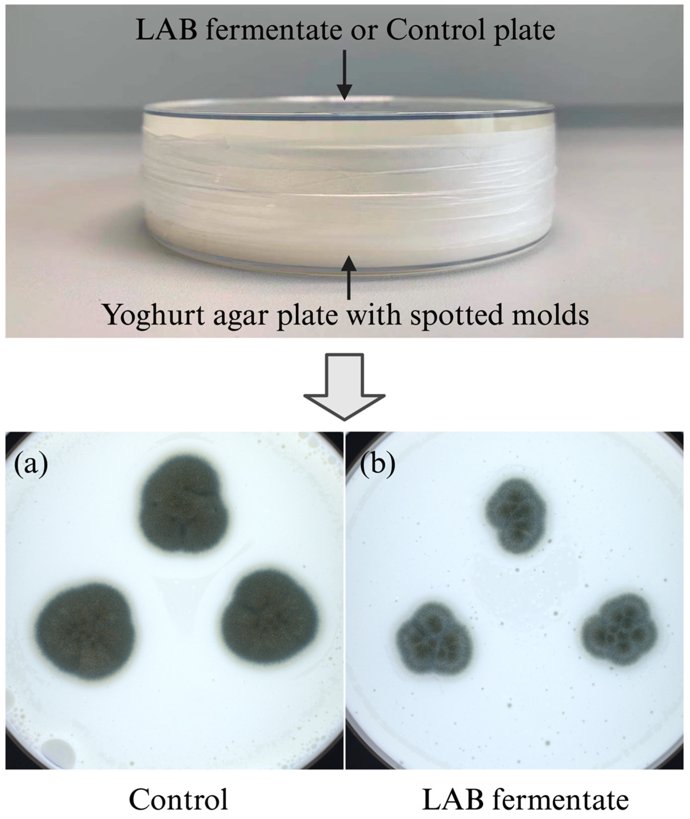 Molecules 28 07397 g003