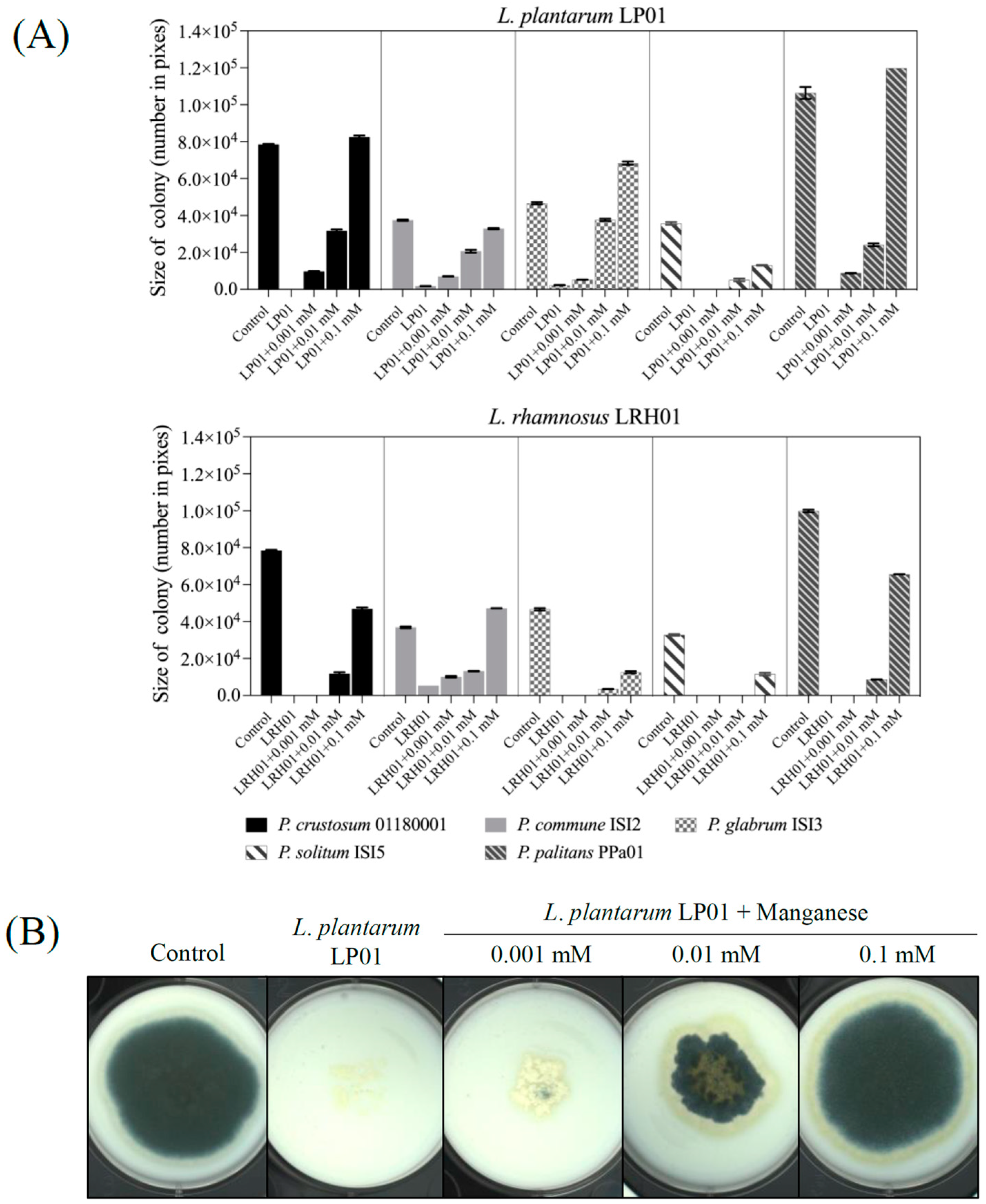 Molecules 28 07397 g004