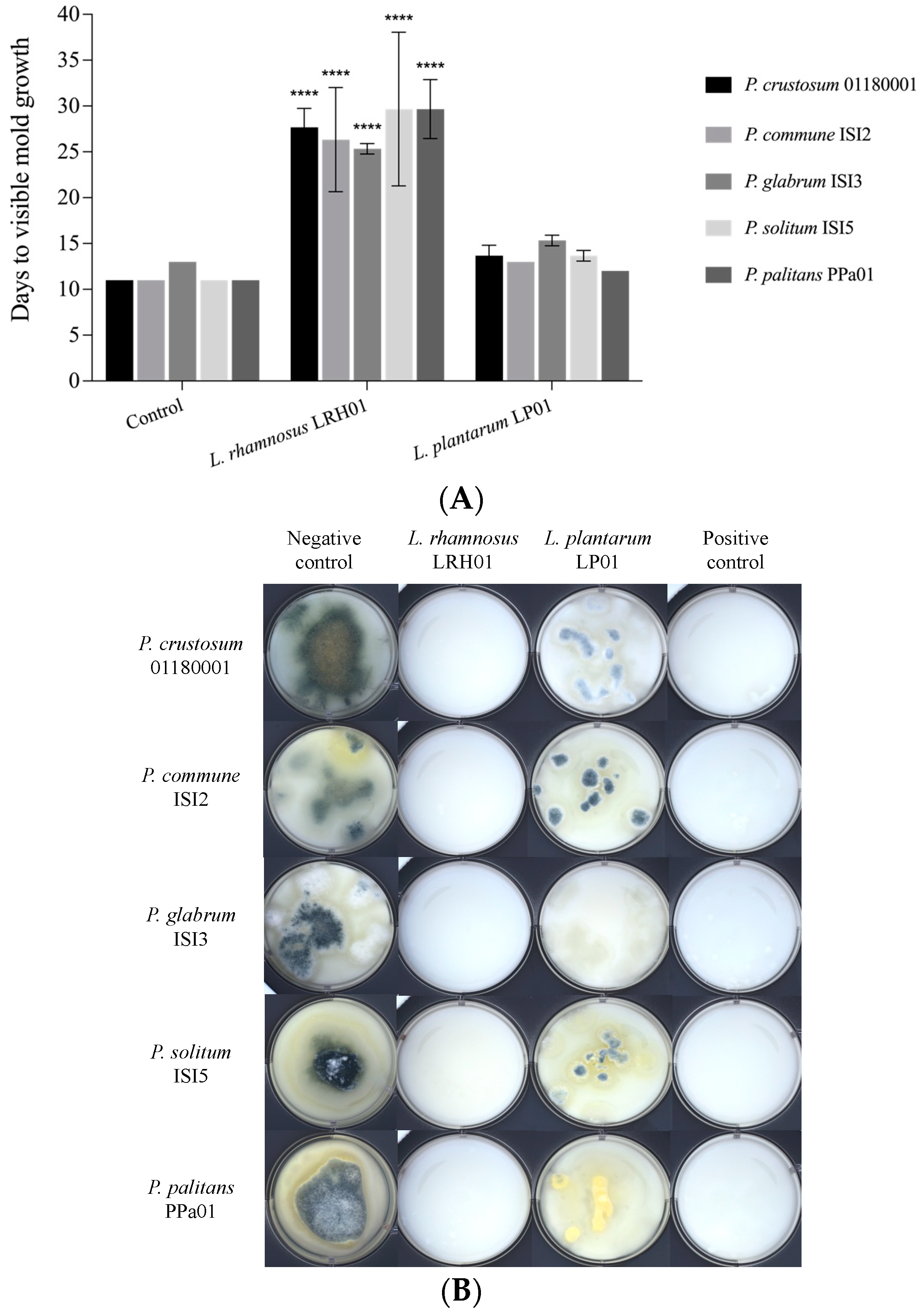 Molecules 28 07397 g005