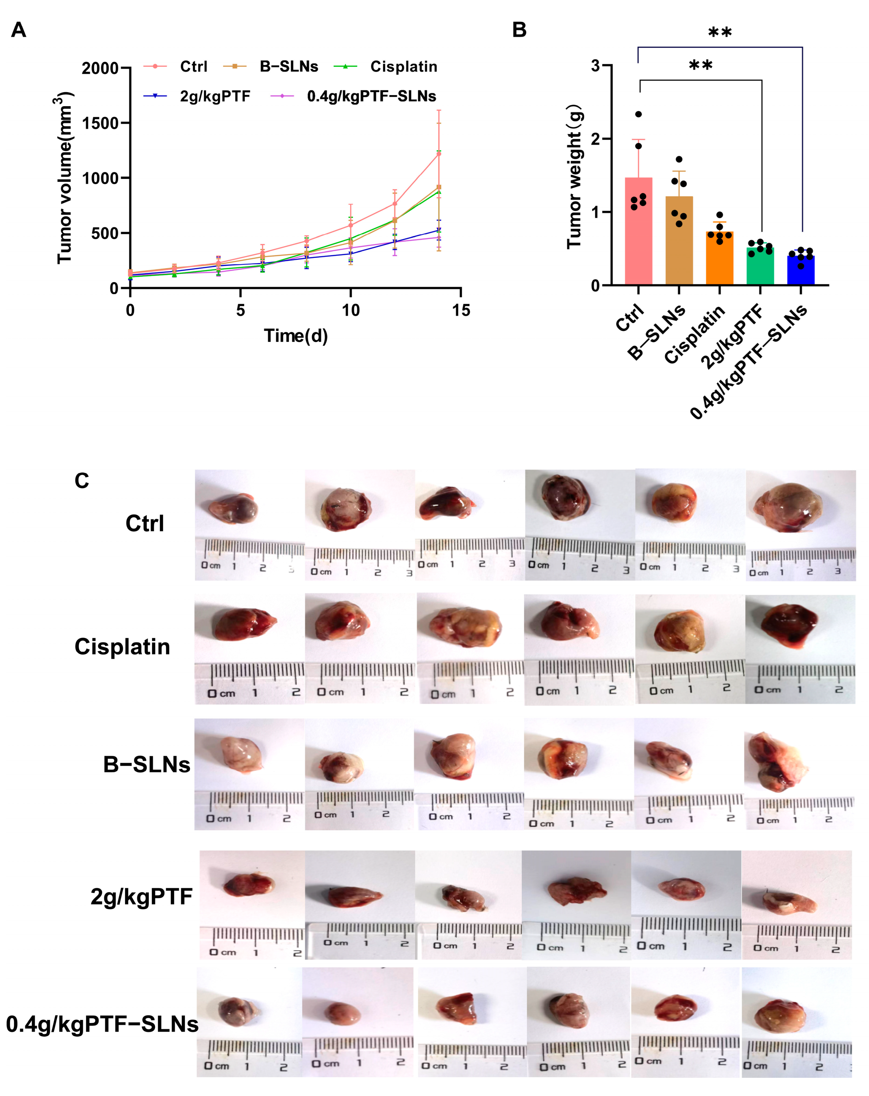 Molecules 28 07399 g004