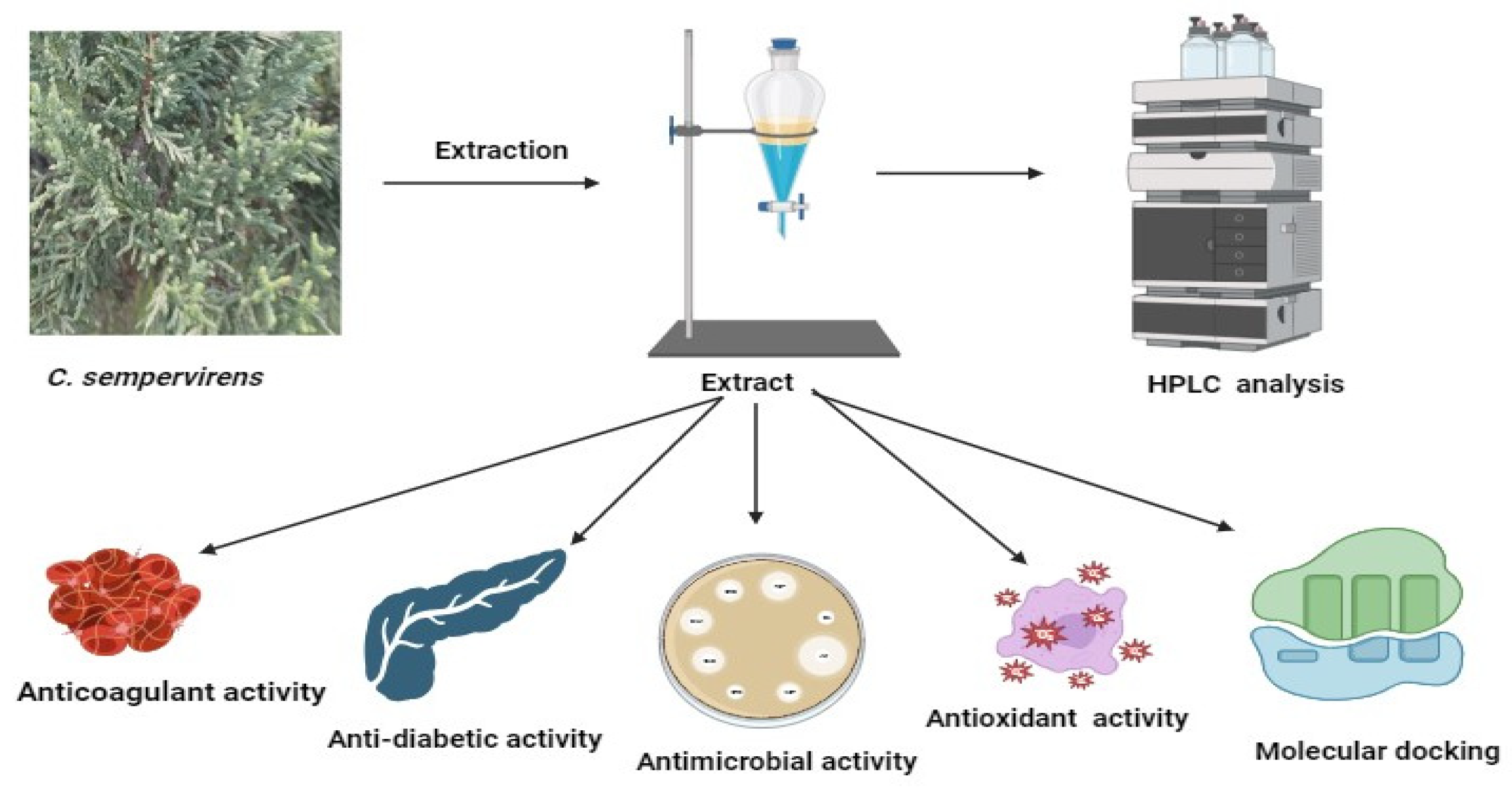 Molecules 28 07402 g001