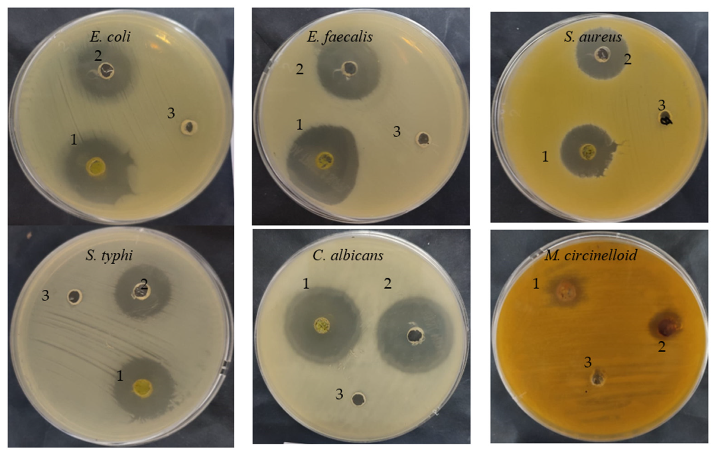 Molecules 28 07402 g003