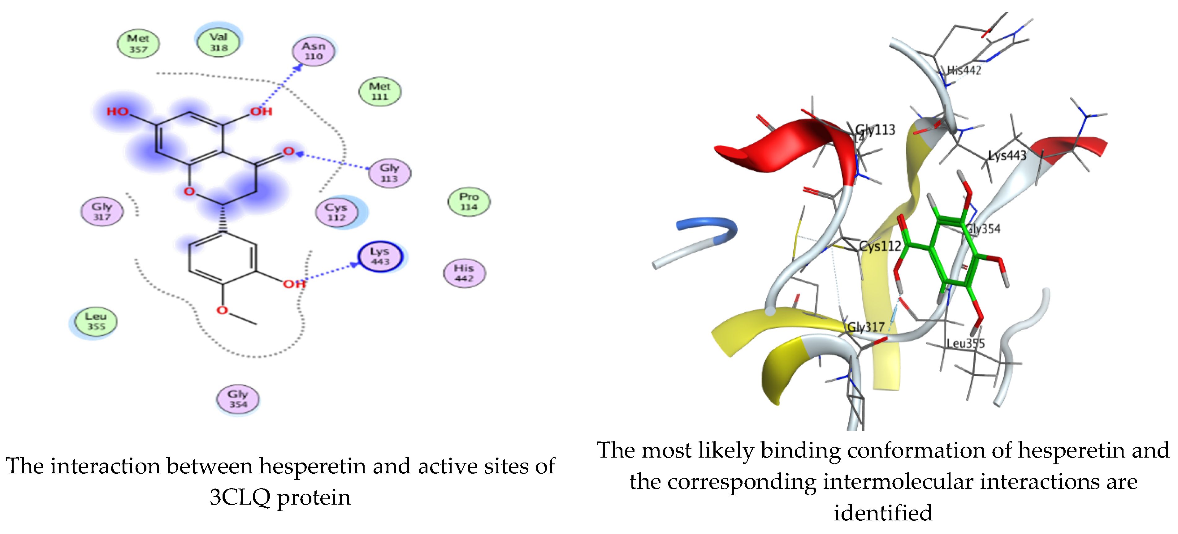Molecules 28 07402 g010a