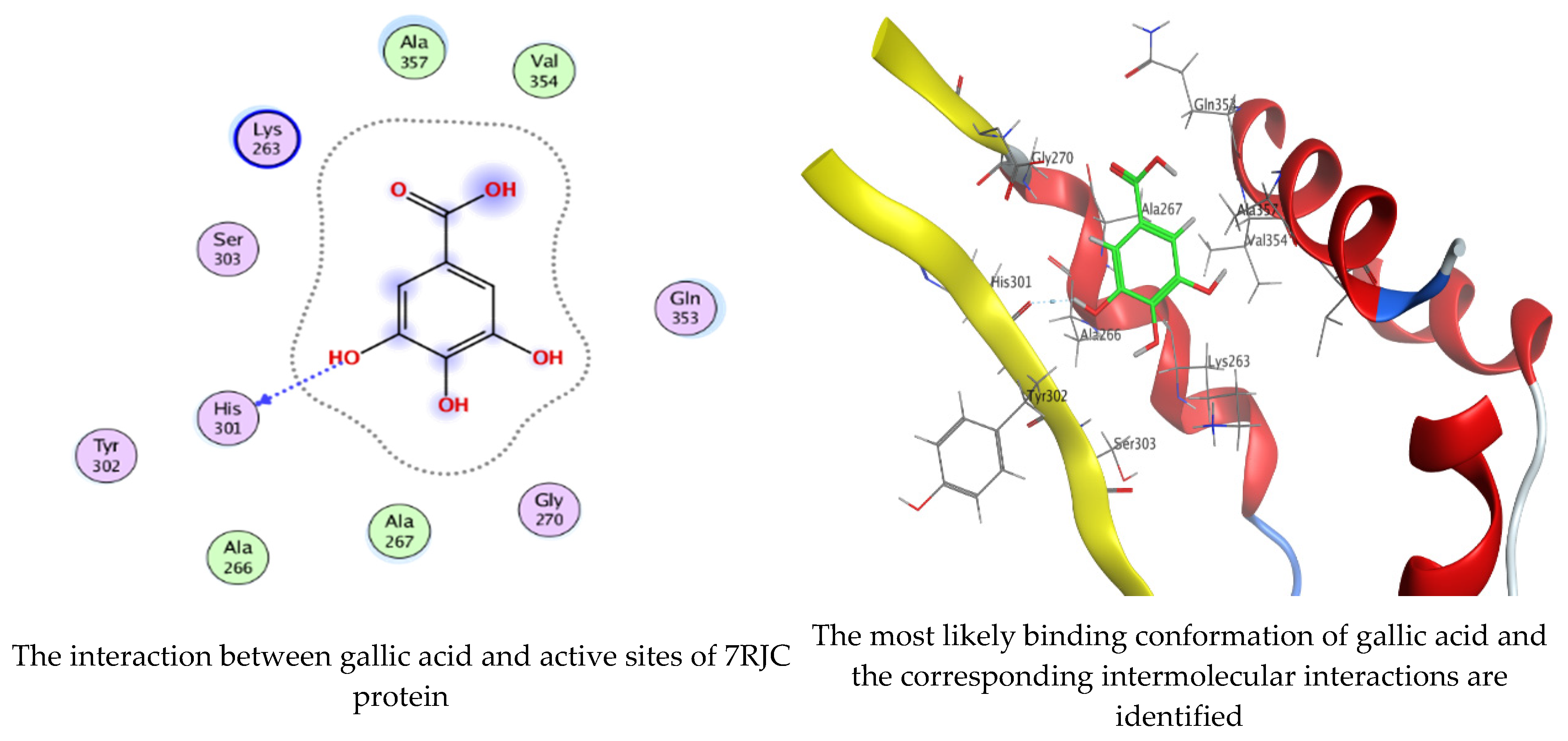 Molecules 28 07402 g013a