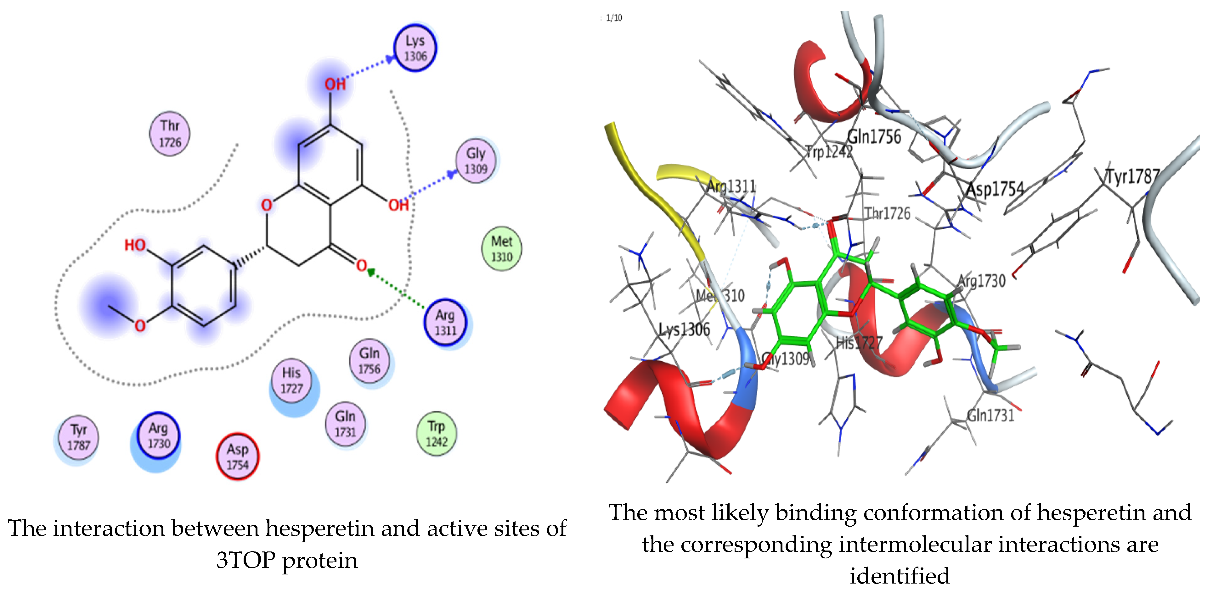 Molecules 28 07402 g016a