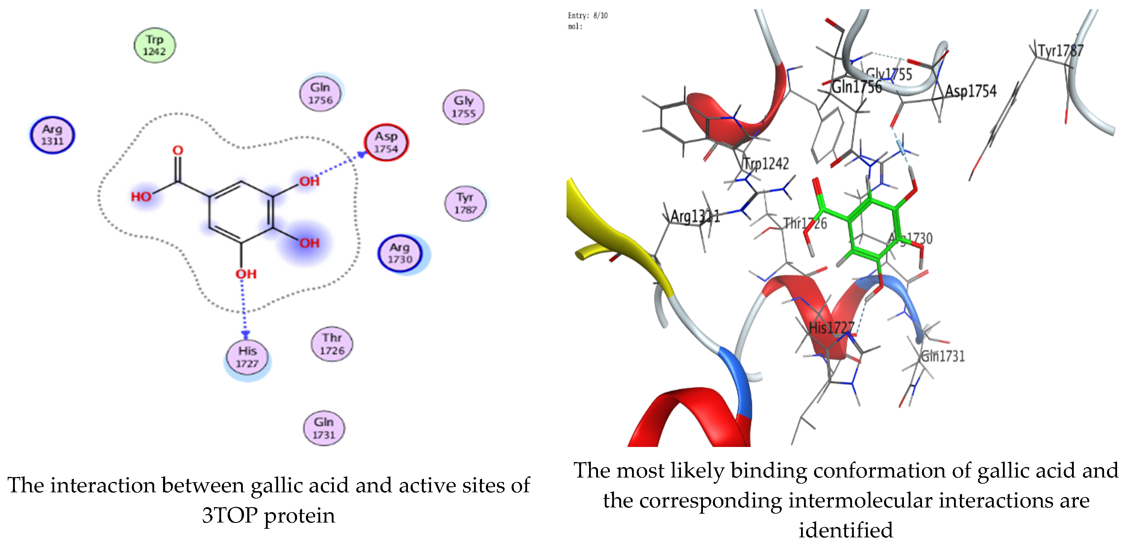 Molecules 28 07402 g017a