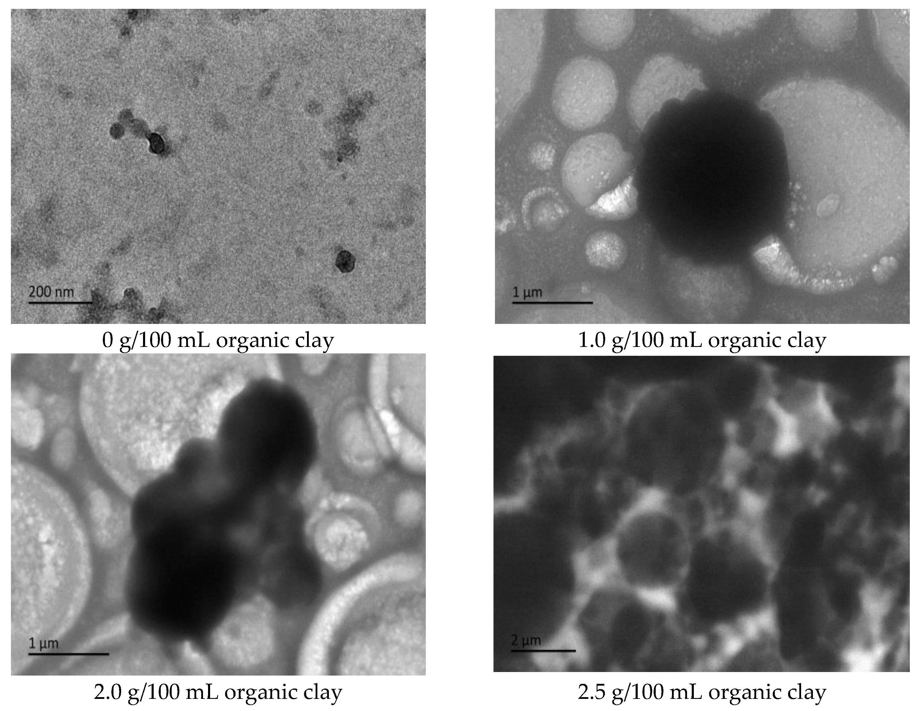 Molecules 28 07407 g015