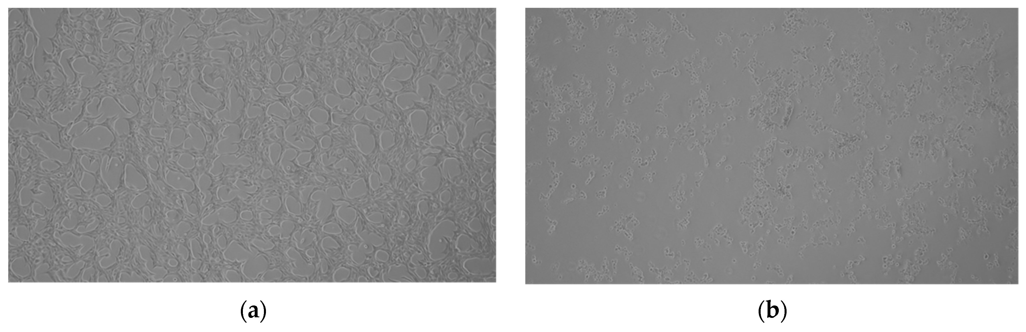 Molecules 28 07408 g007a