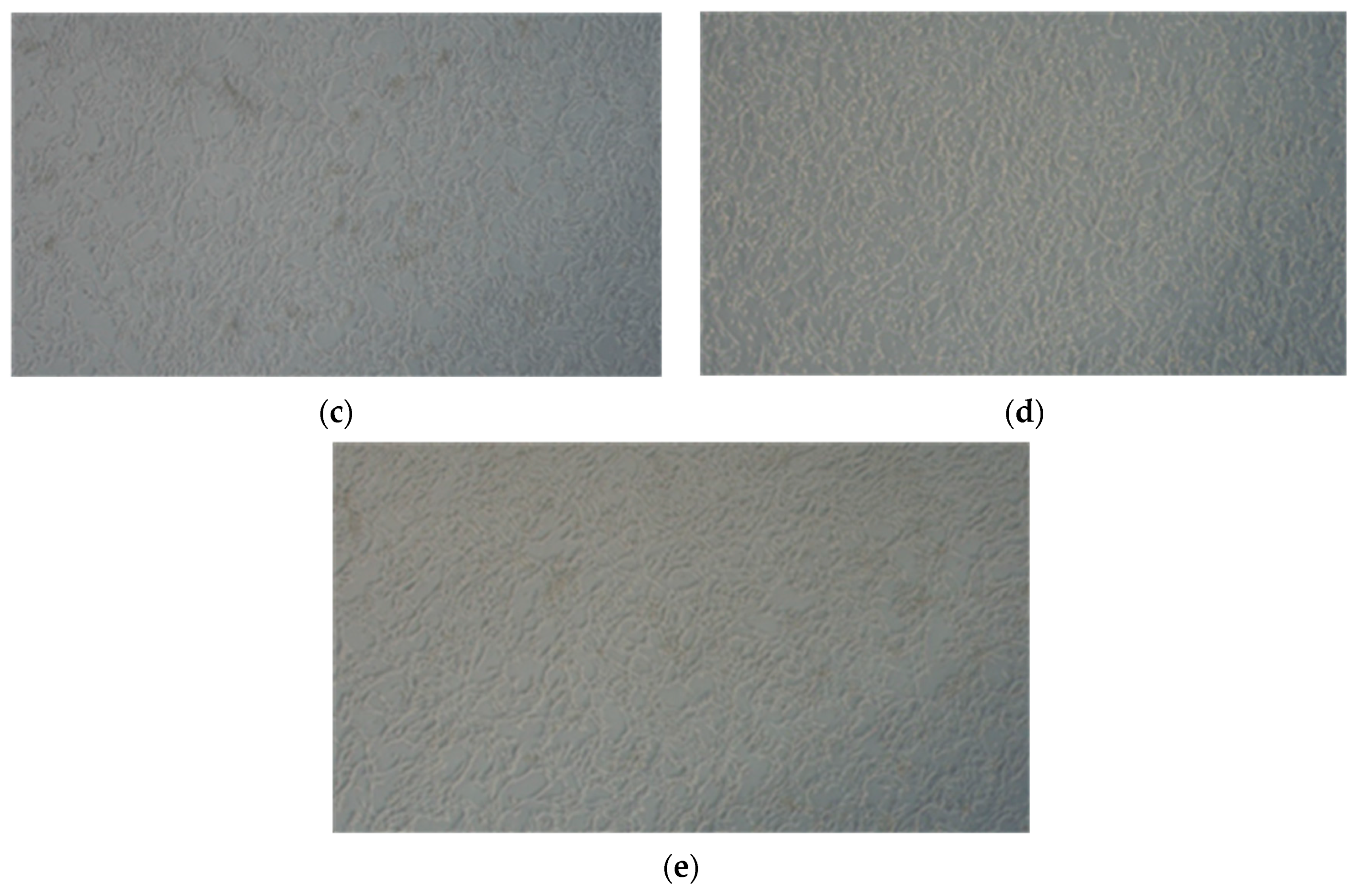 Molecules 28 07408 g007b