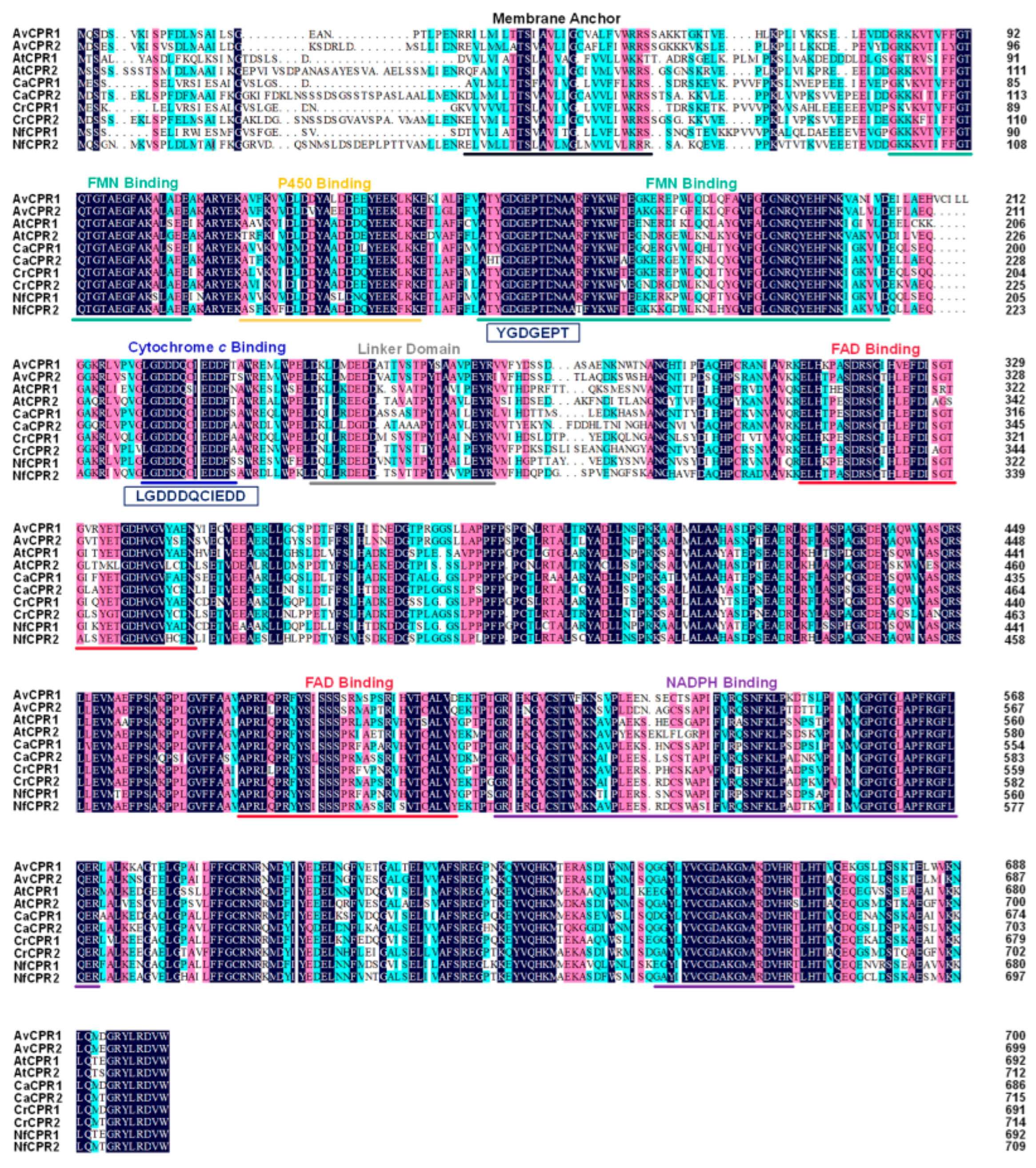 Molecules 28 07409 g001