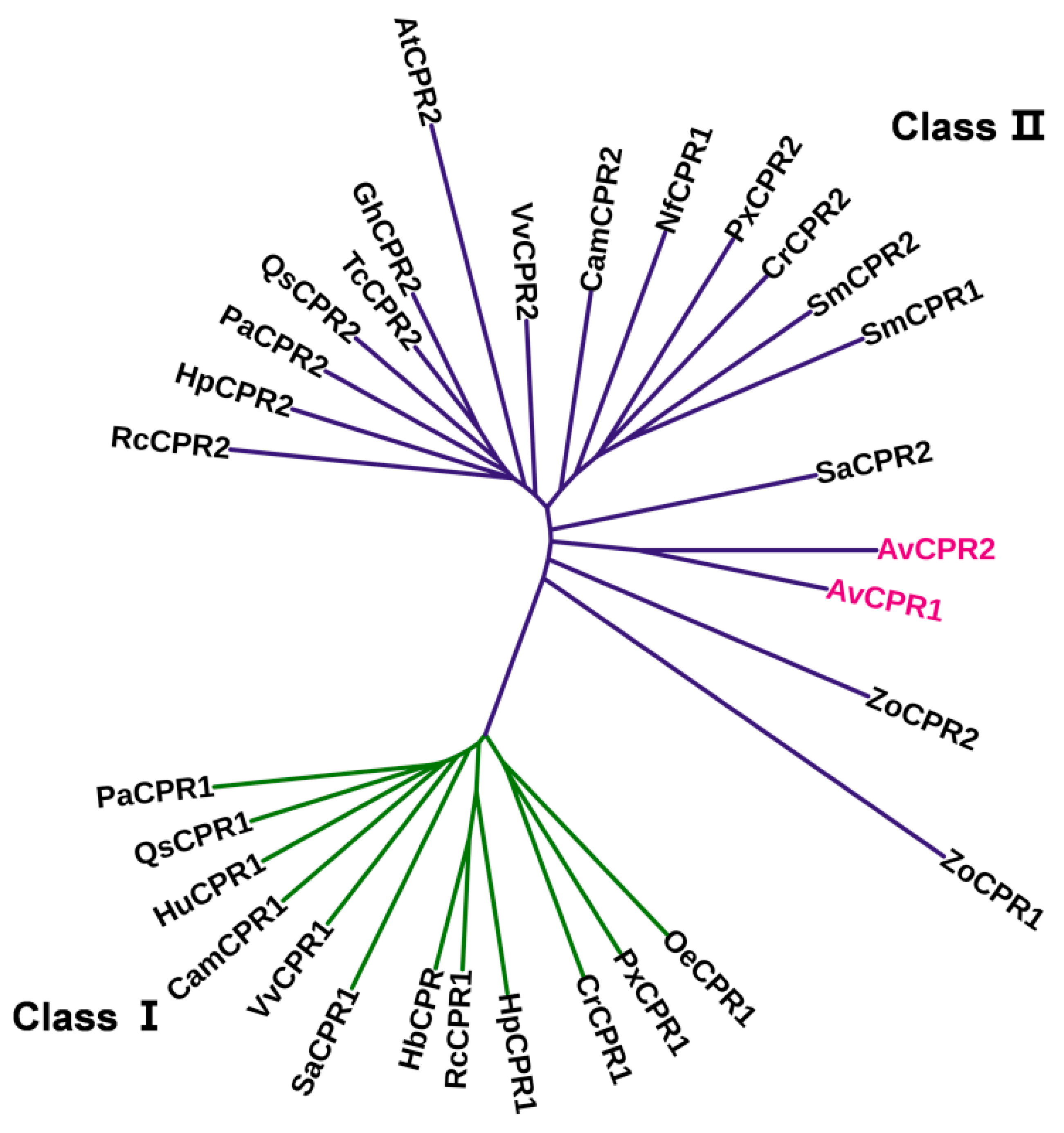 Molecules 28 07409 g002