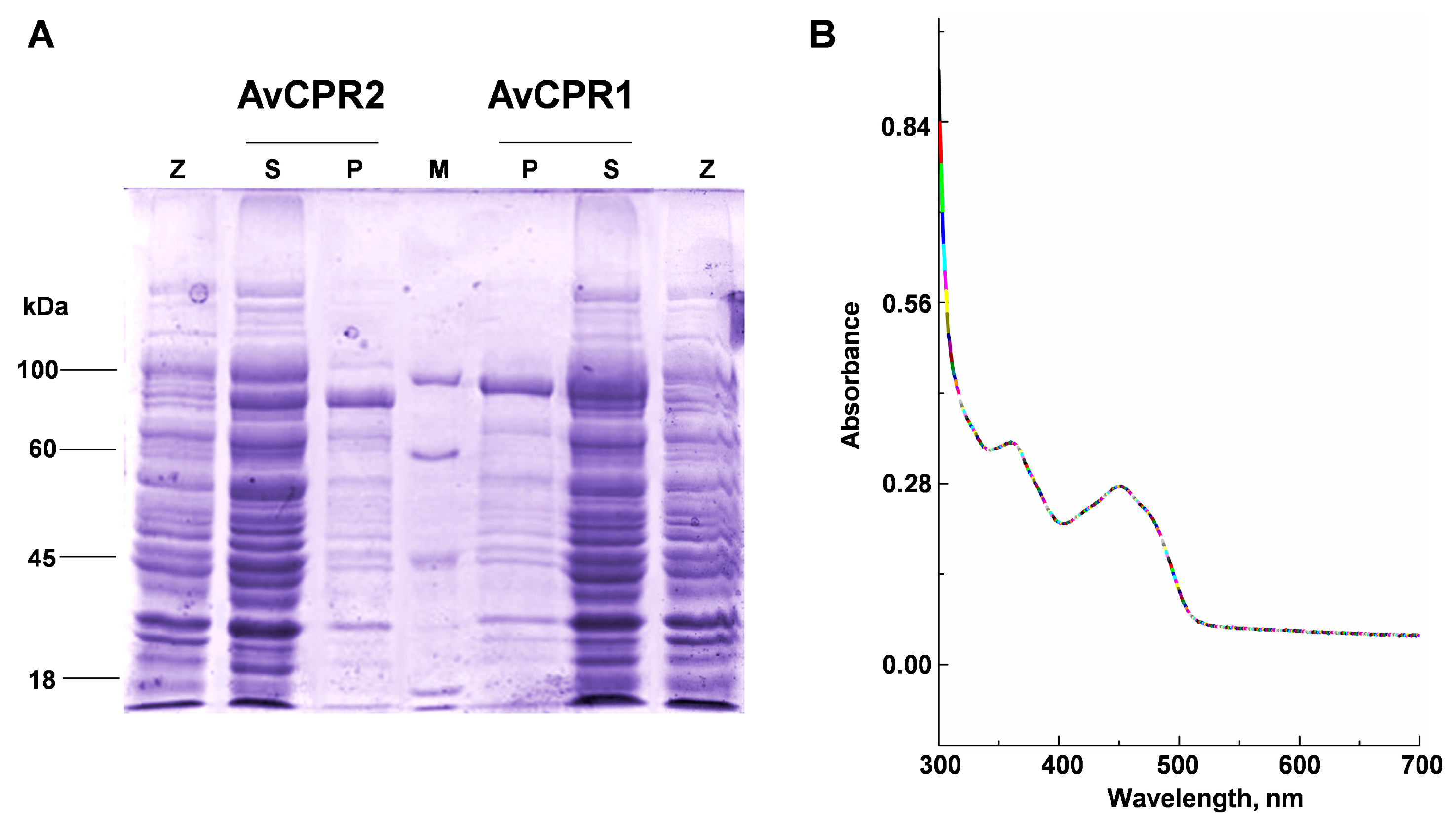 Molecules 28 07409 g003