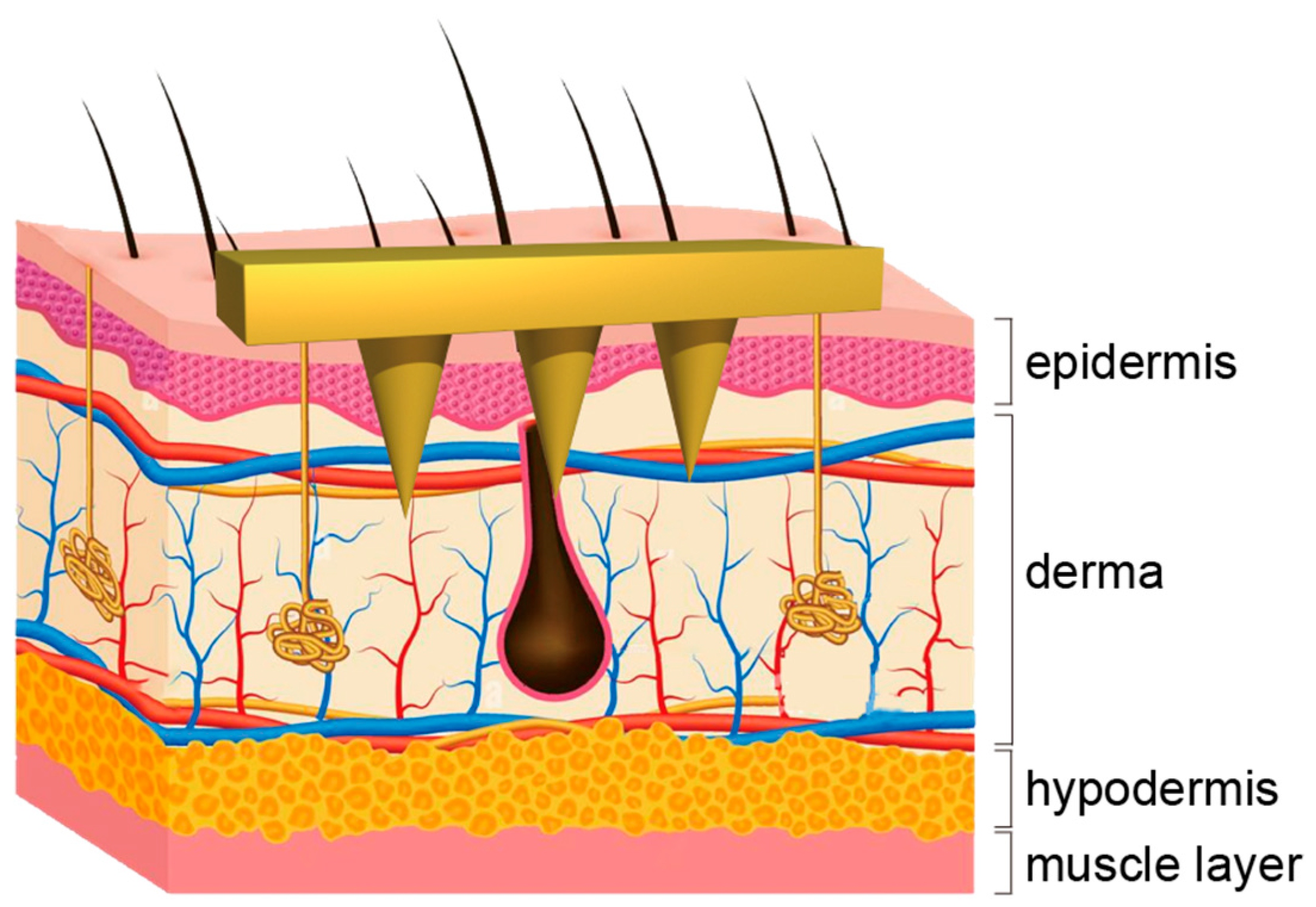 Molecules 28 07411 g001