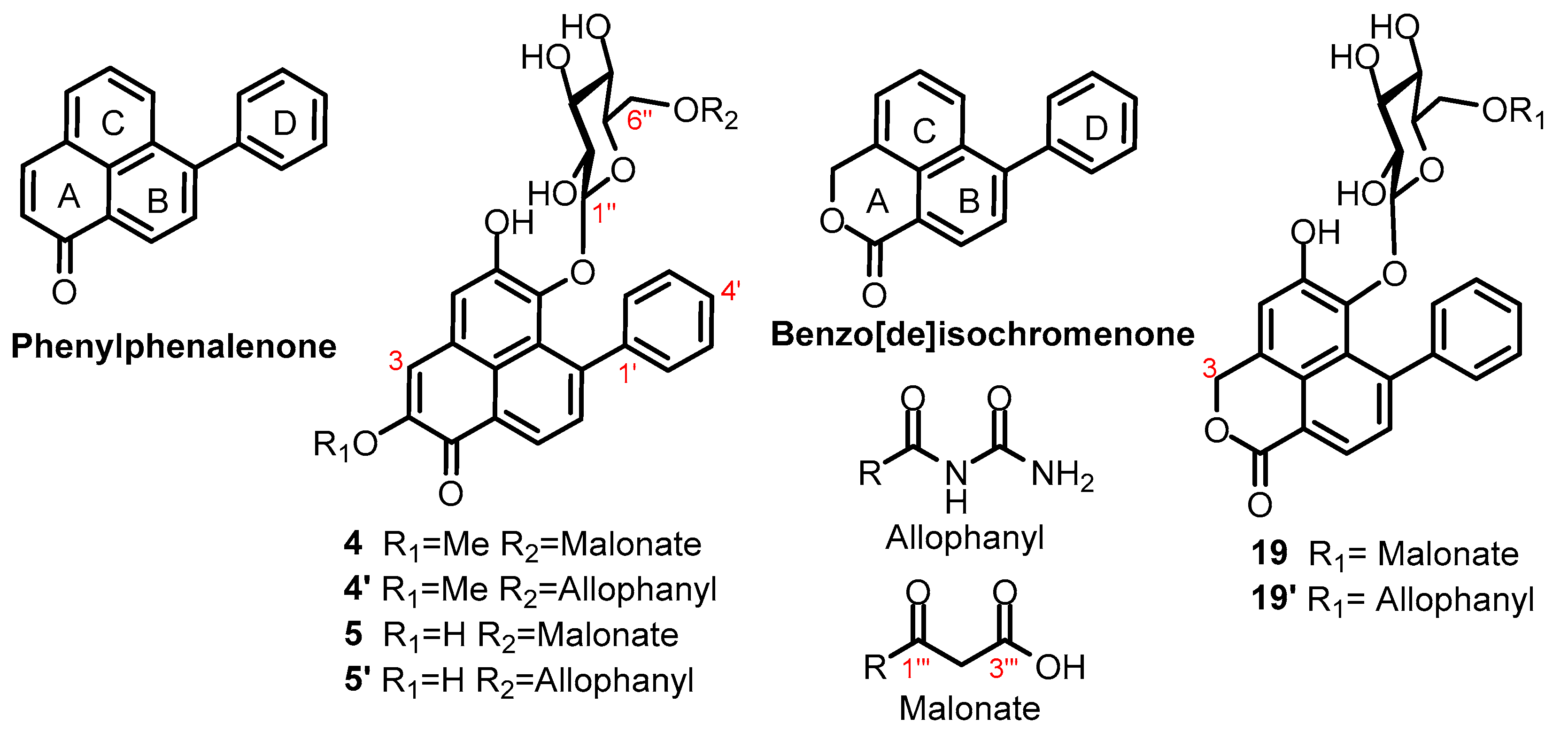 Molecules 28 07422 g002