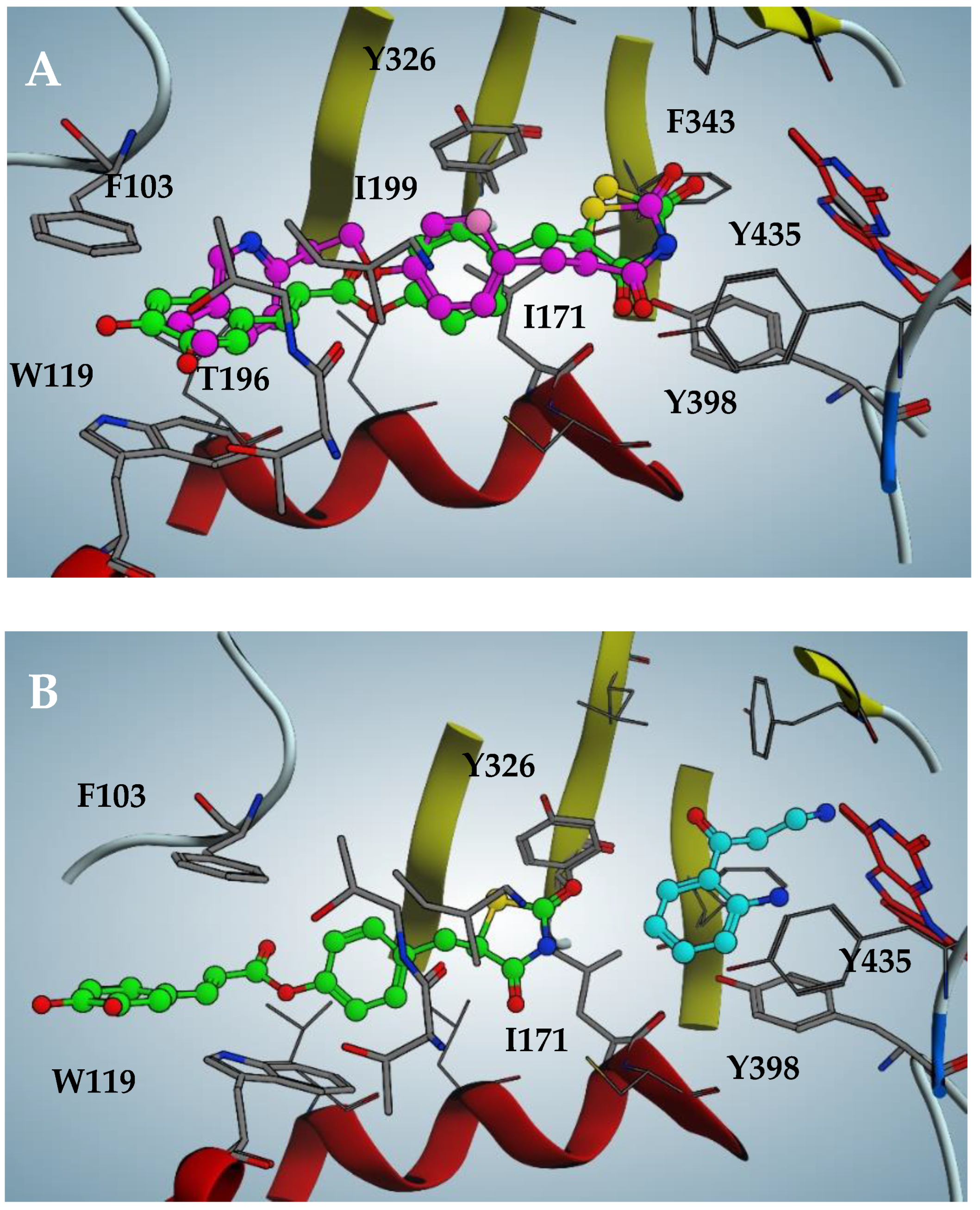 Molecules 28 07424 g004