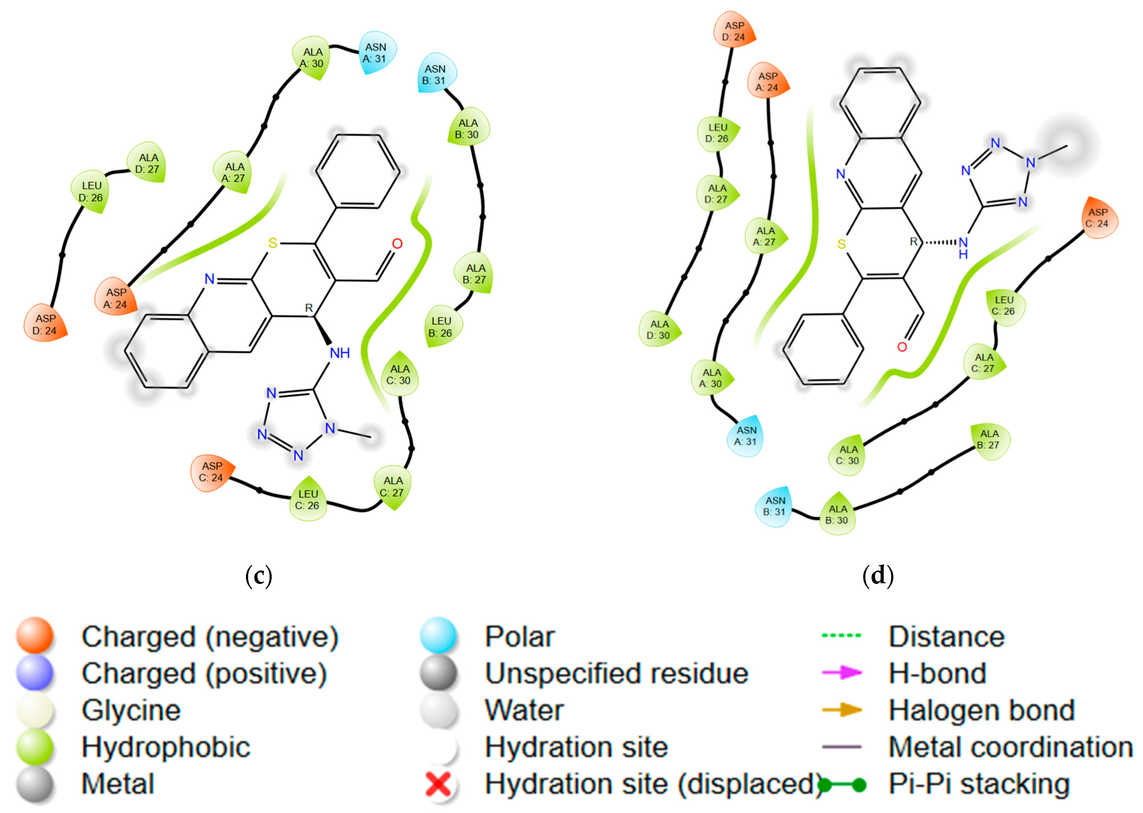 Molecules 28 07427 g006b