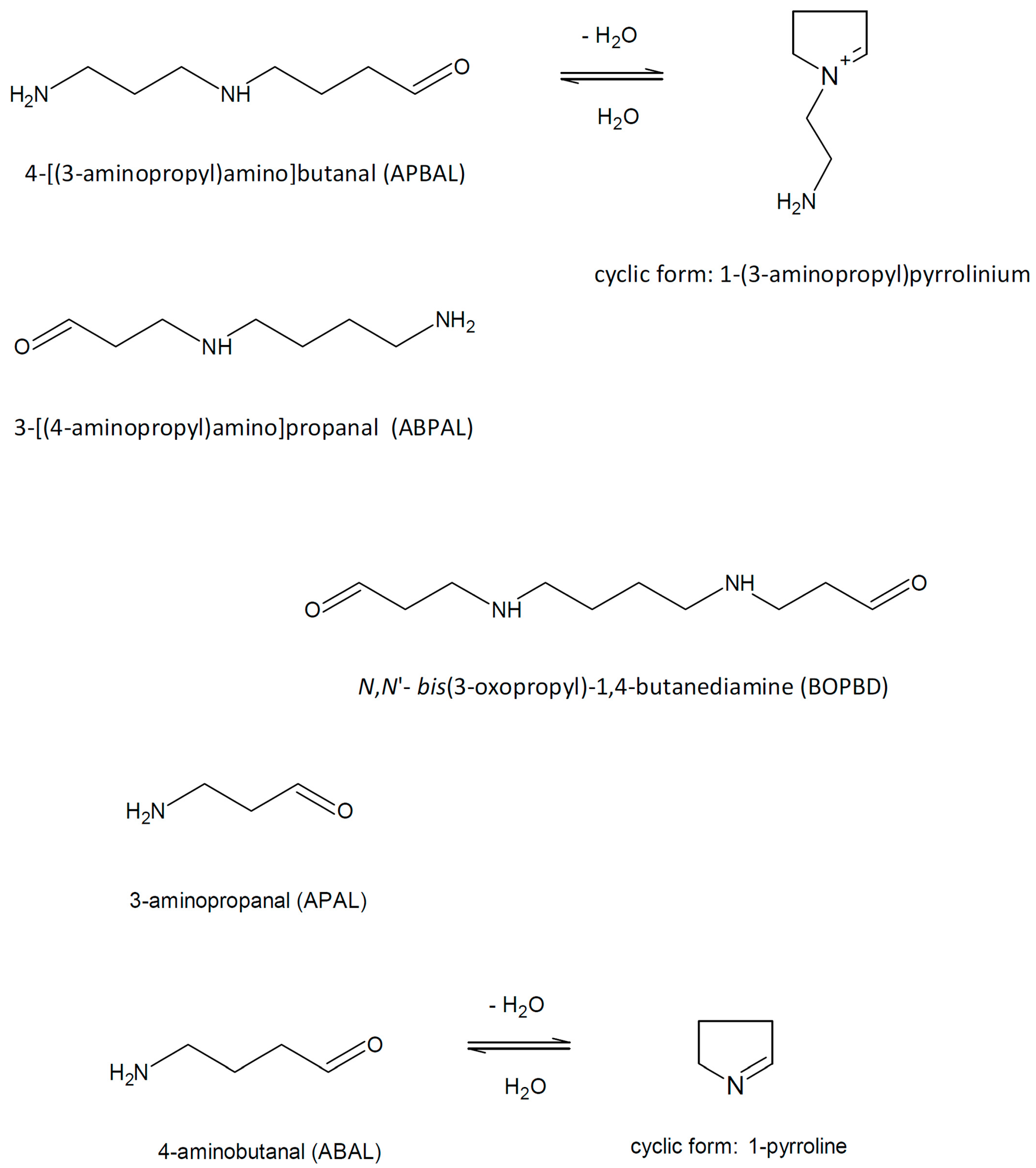 Molecules 28 07429 g002