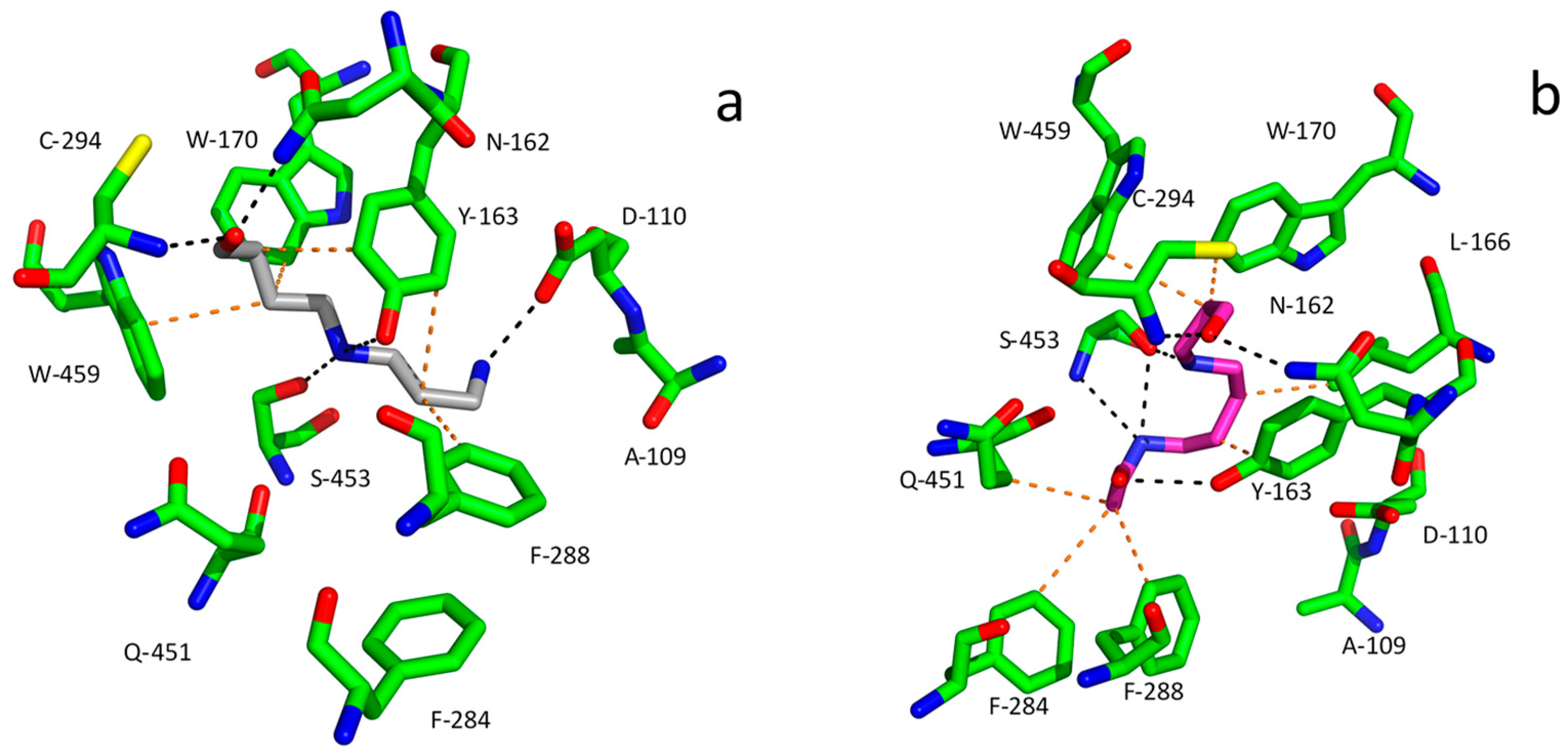Molecules 28 07429 g007