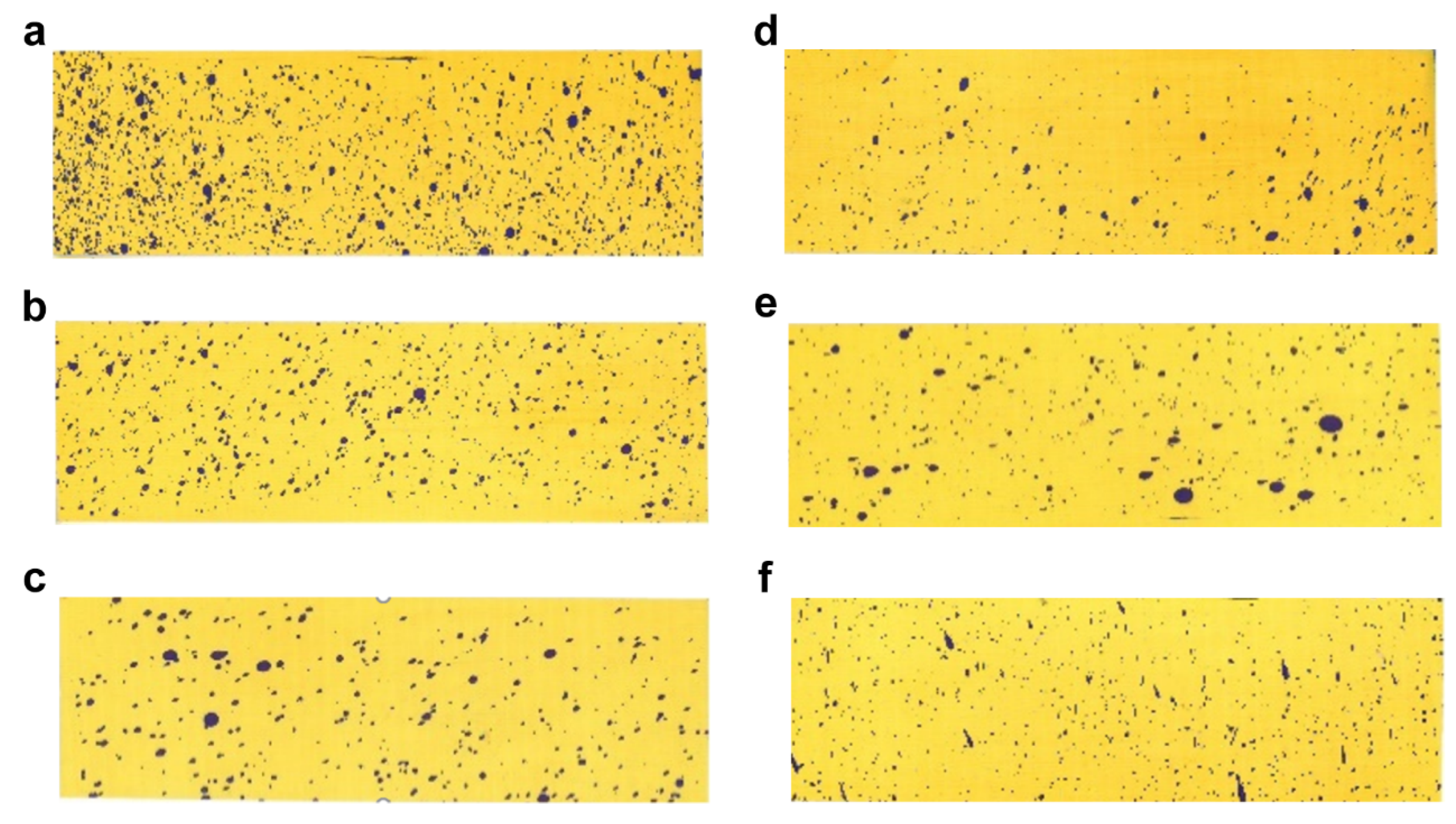 Molecules 28 07432 g005