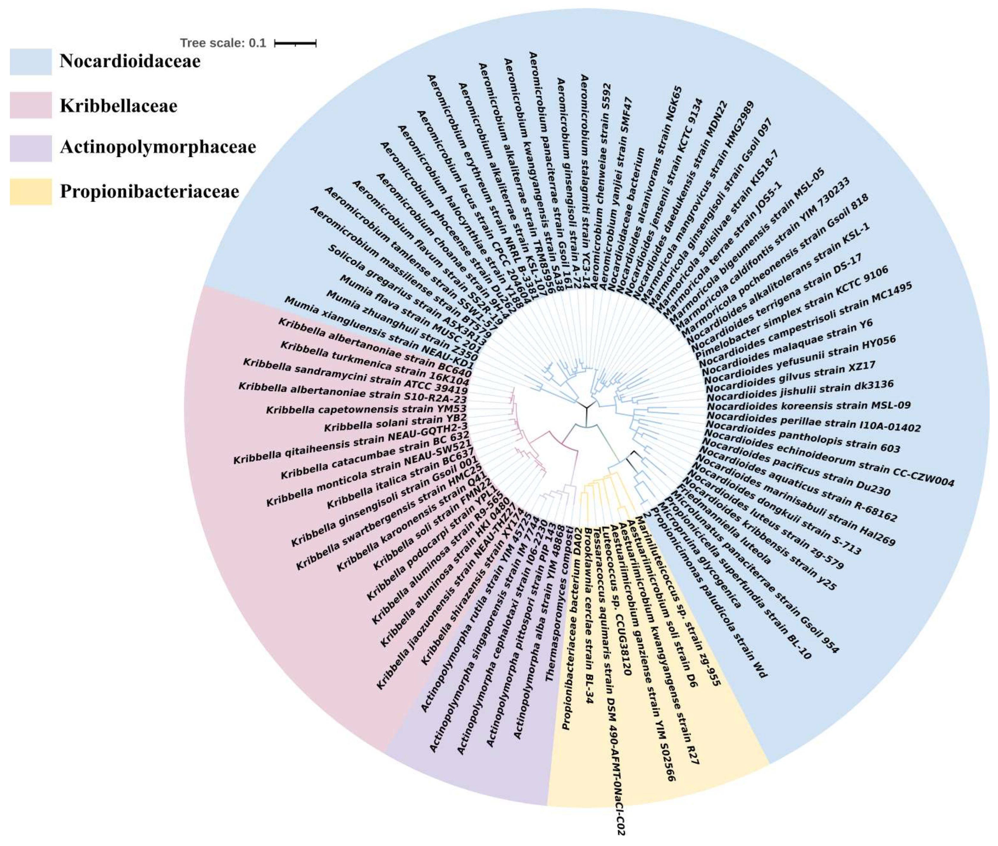 Molecules 28 07433 g001
