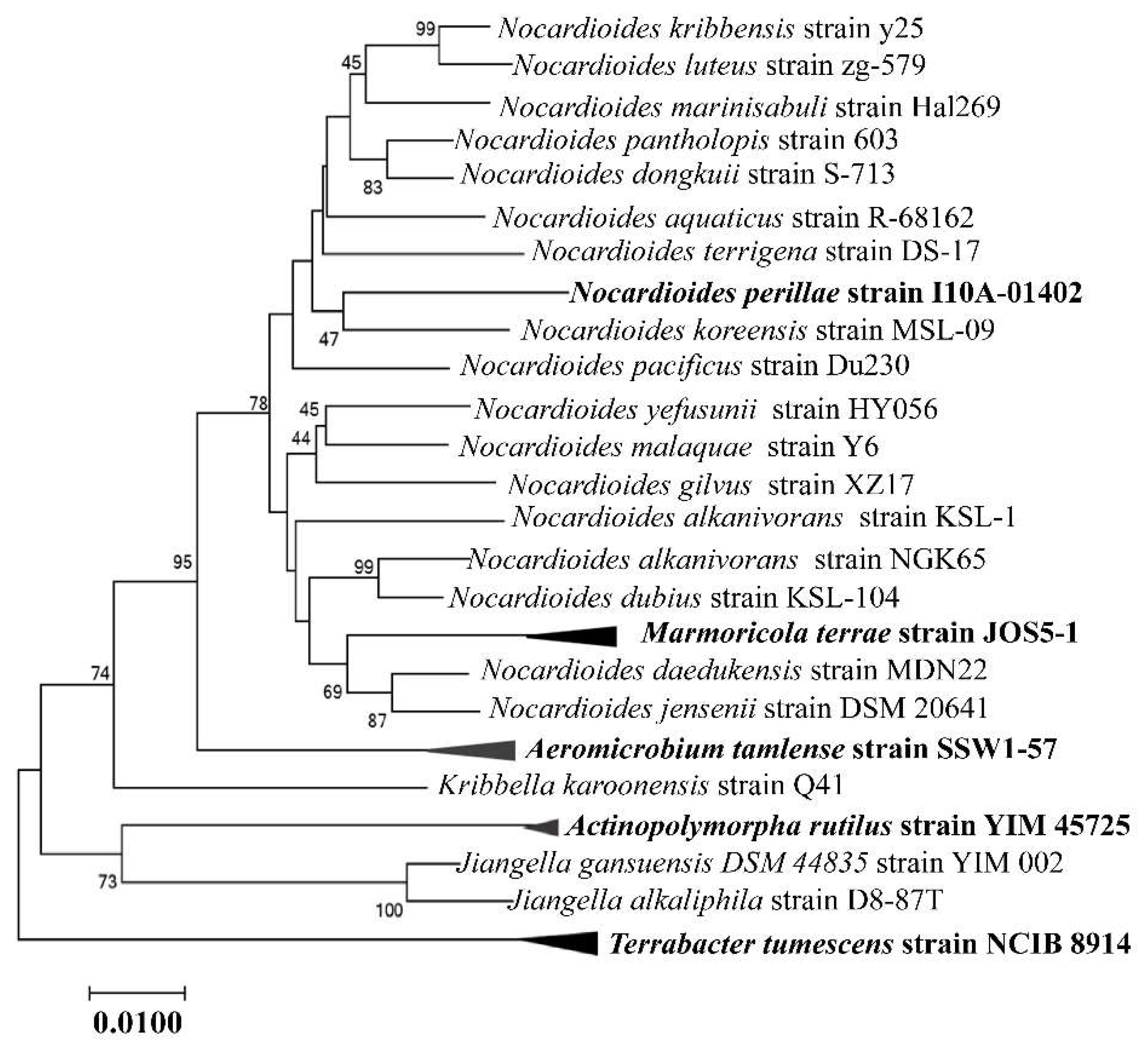 Molecules 28 07433 g002