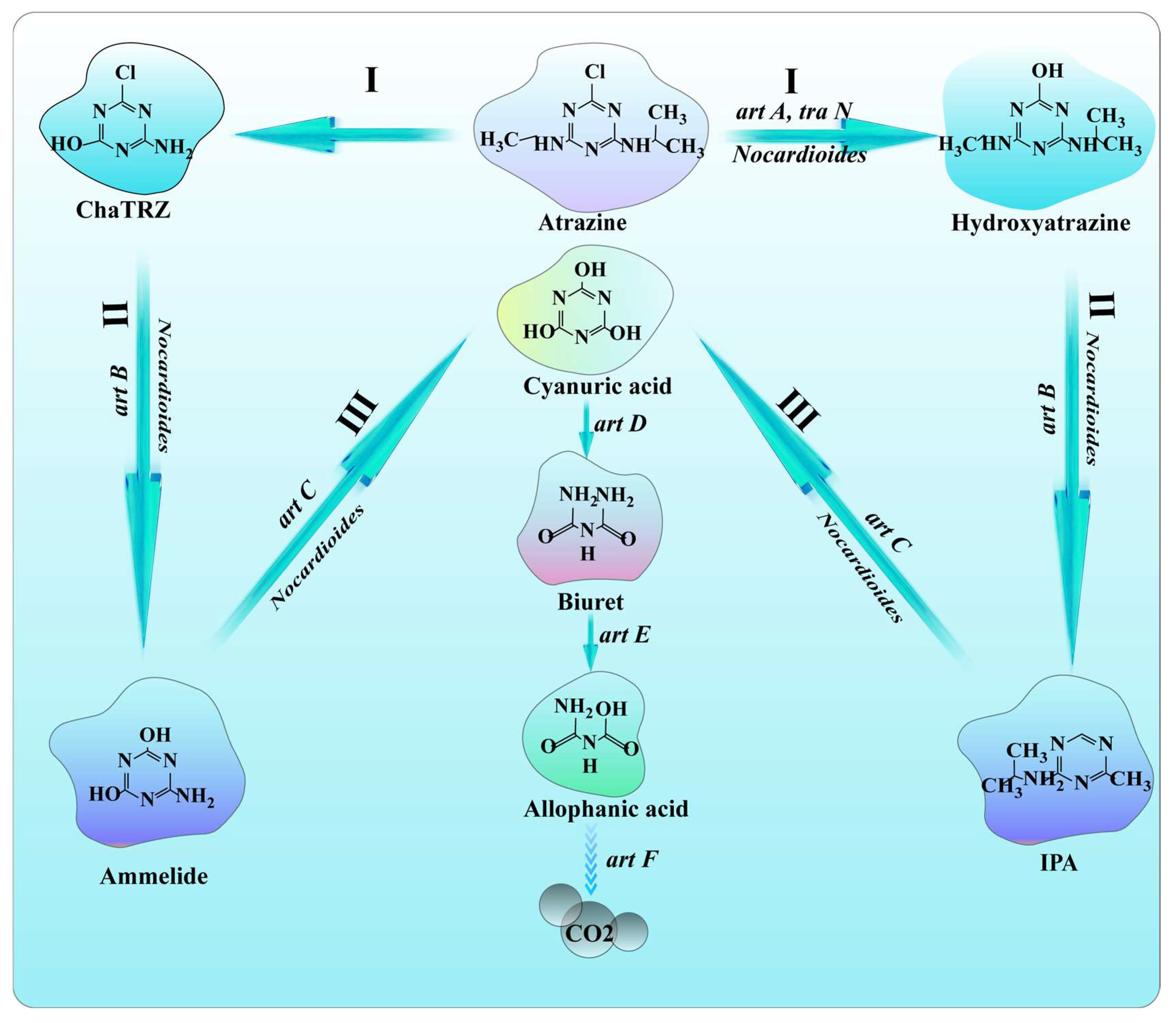 Molecules 28 07433 g007