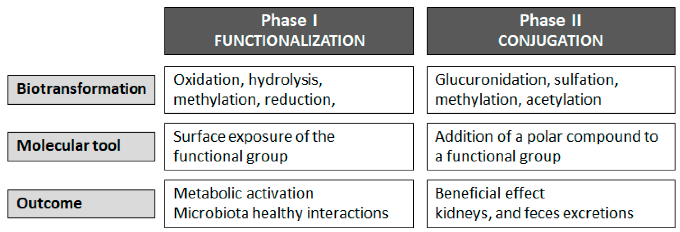 Molecules 28 07436 g003