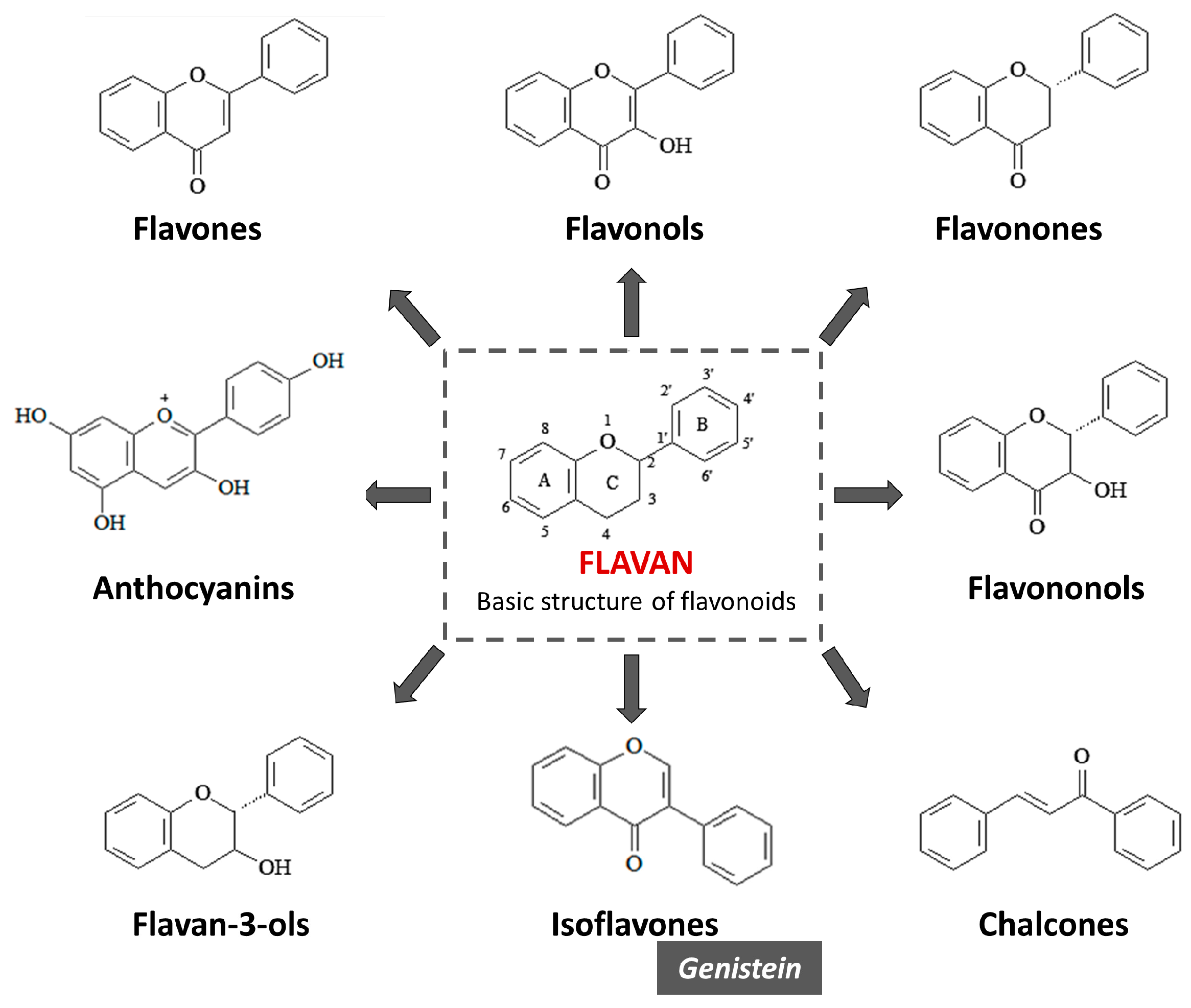 Molecules 28 07436 g005