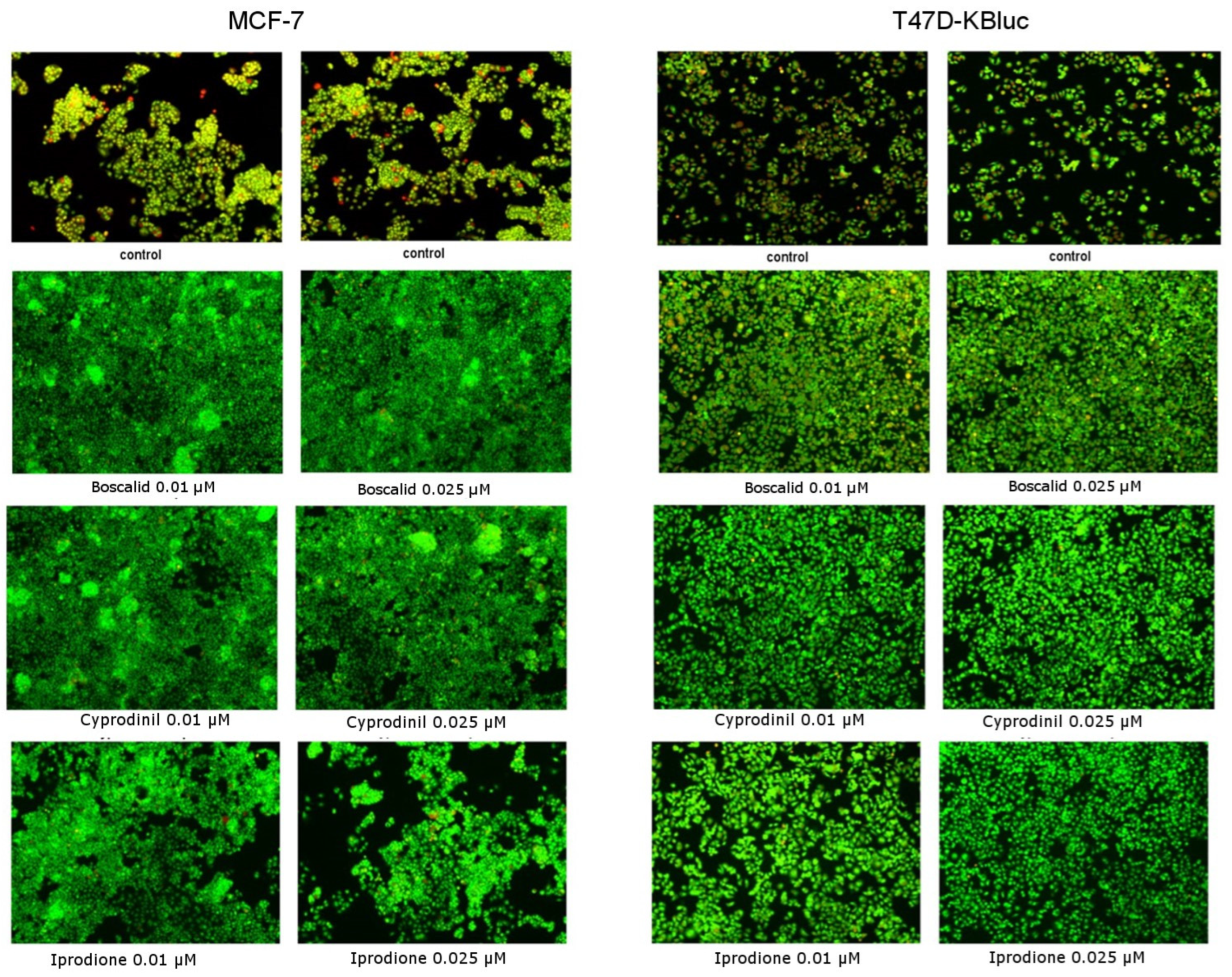 Molecules 28 07437 g006